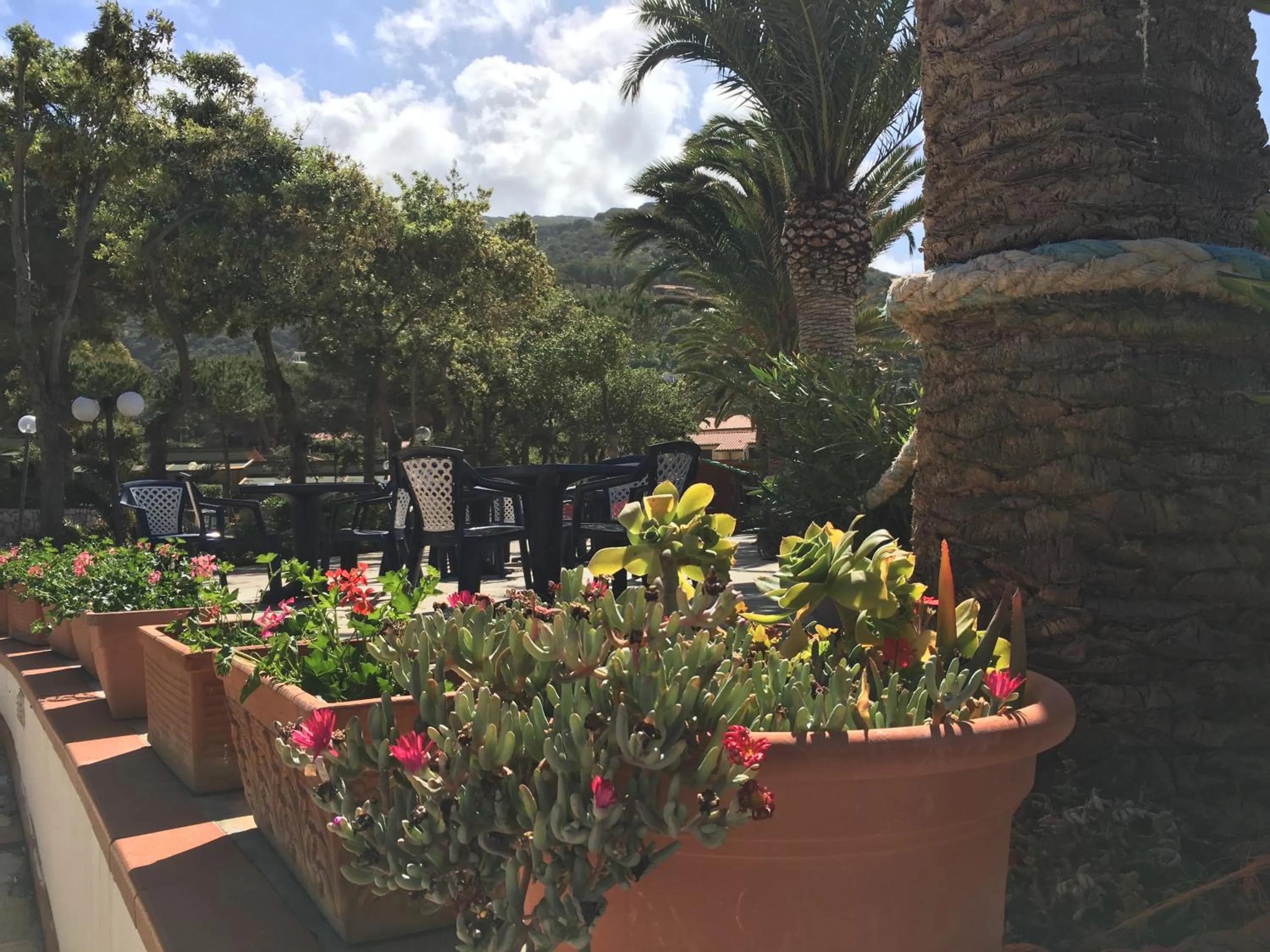 Restaurant/places to eat in Mandel Residence by Mandel Club