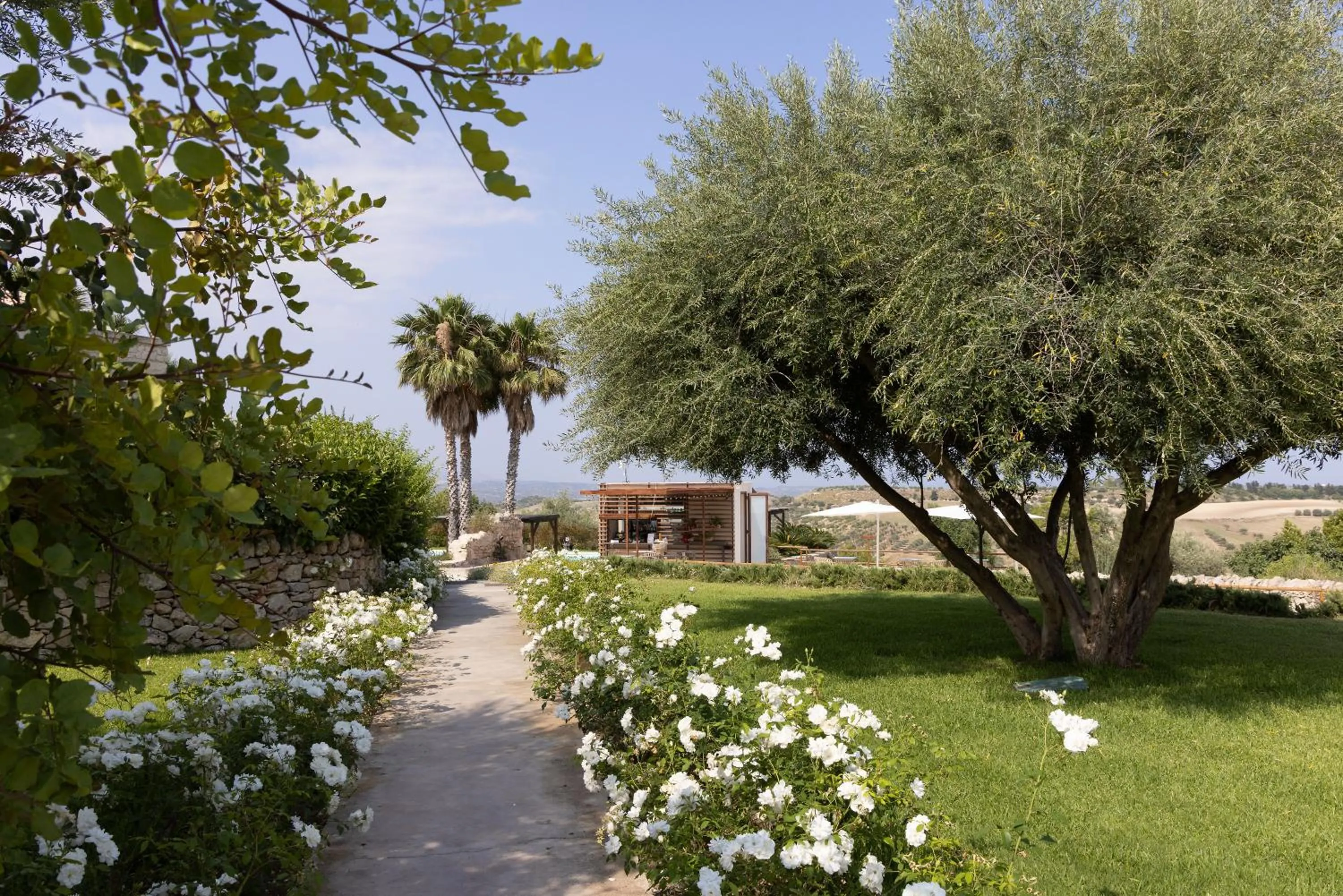 Masseria del Carrubo