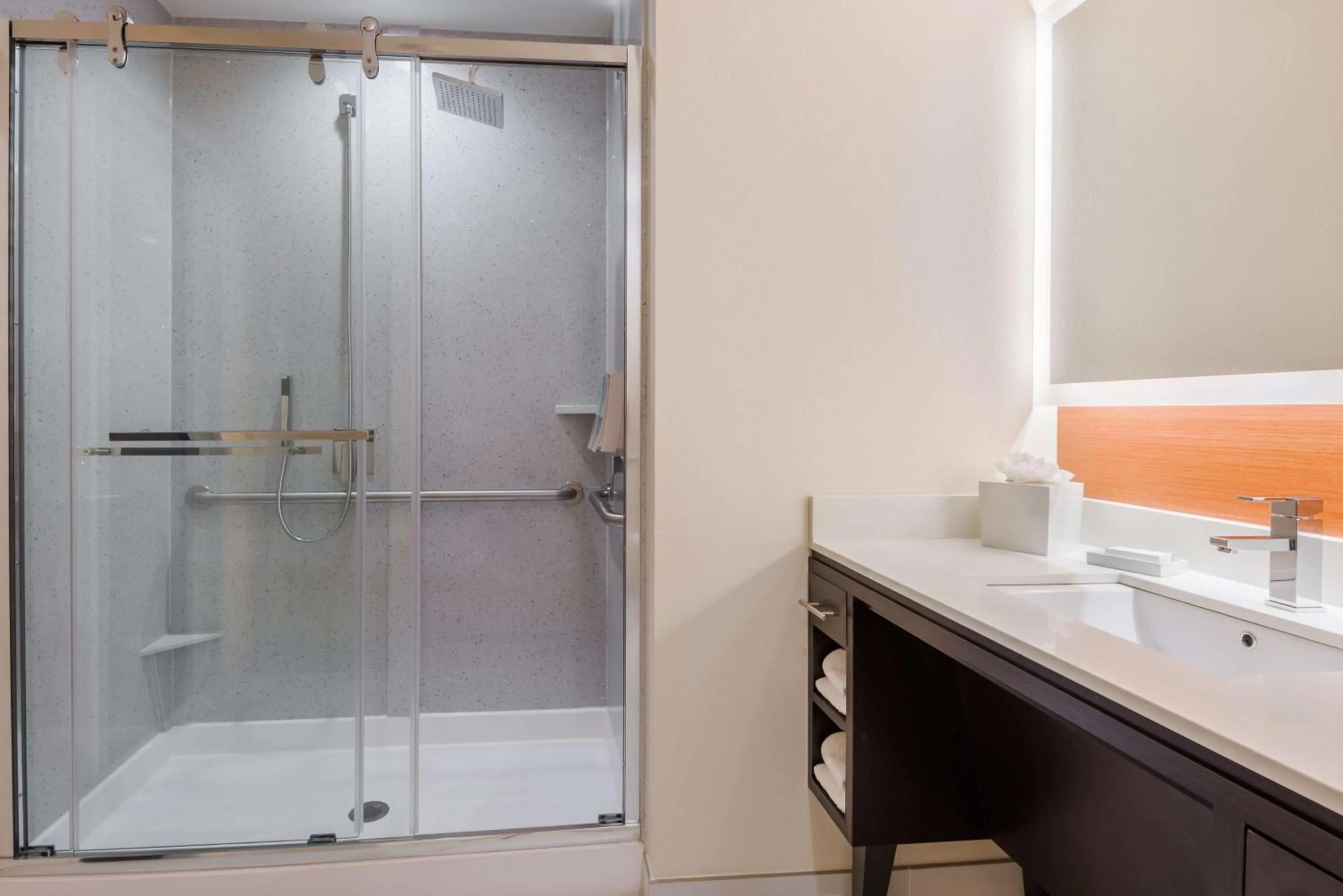 Bathroom in Home2 Suites by Hilton Atlanta Downtown