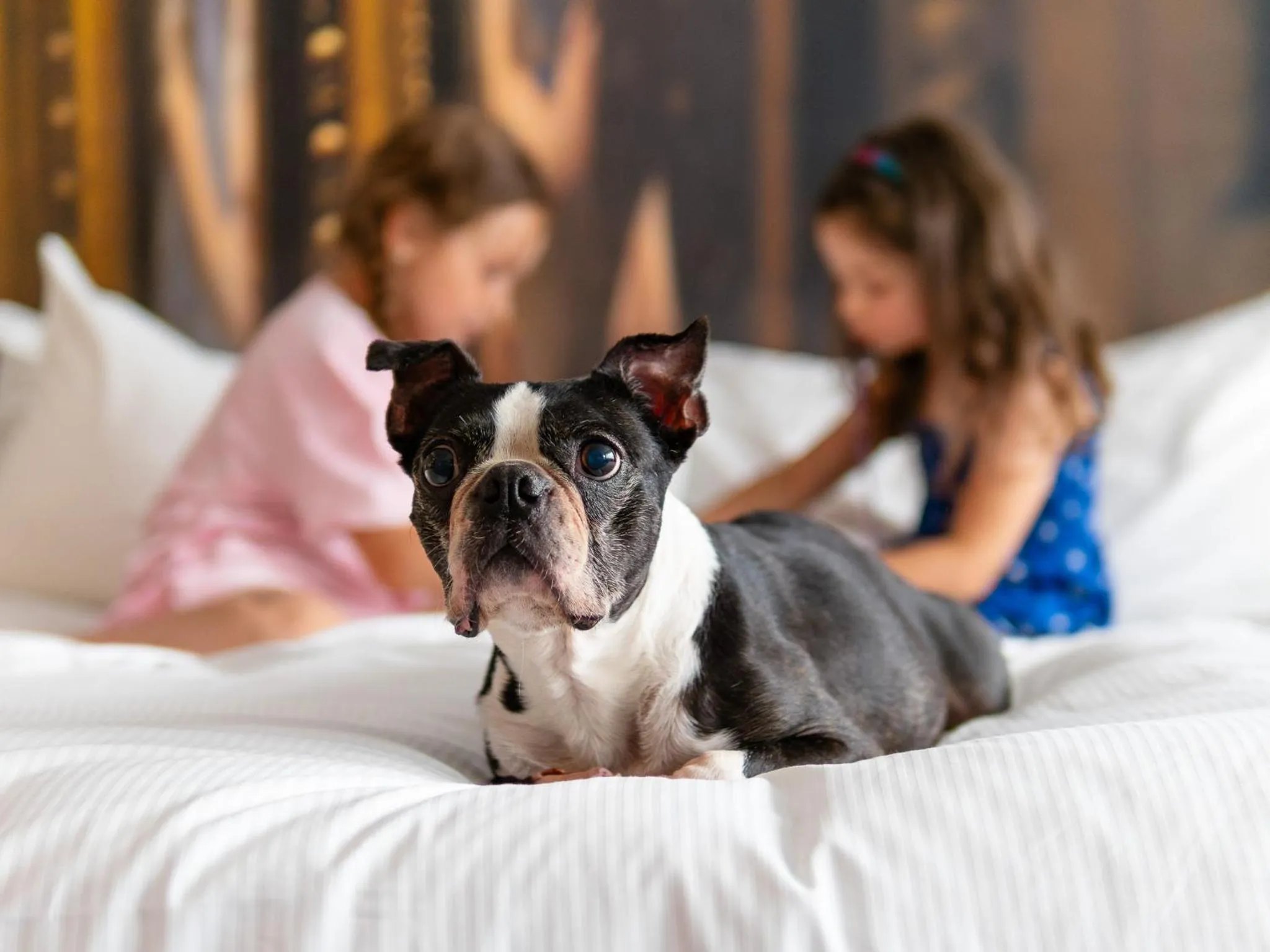 Photo of the whole room in DoubleTree by Hilton Wroclaw