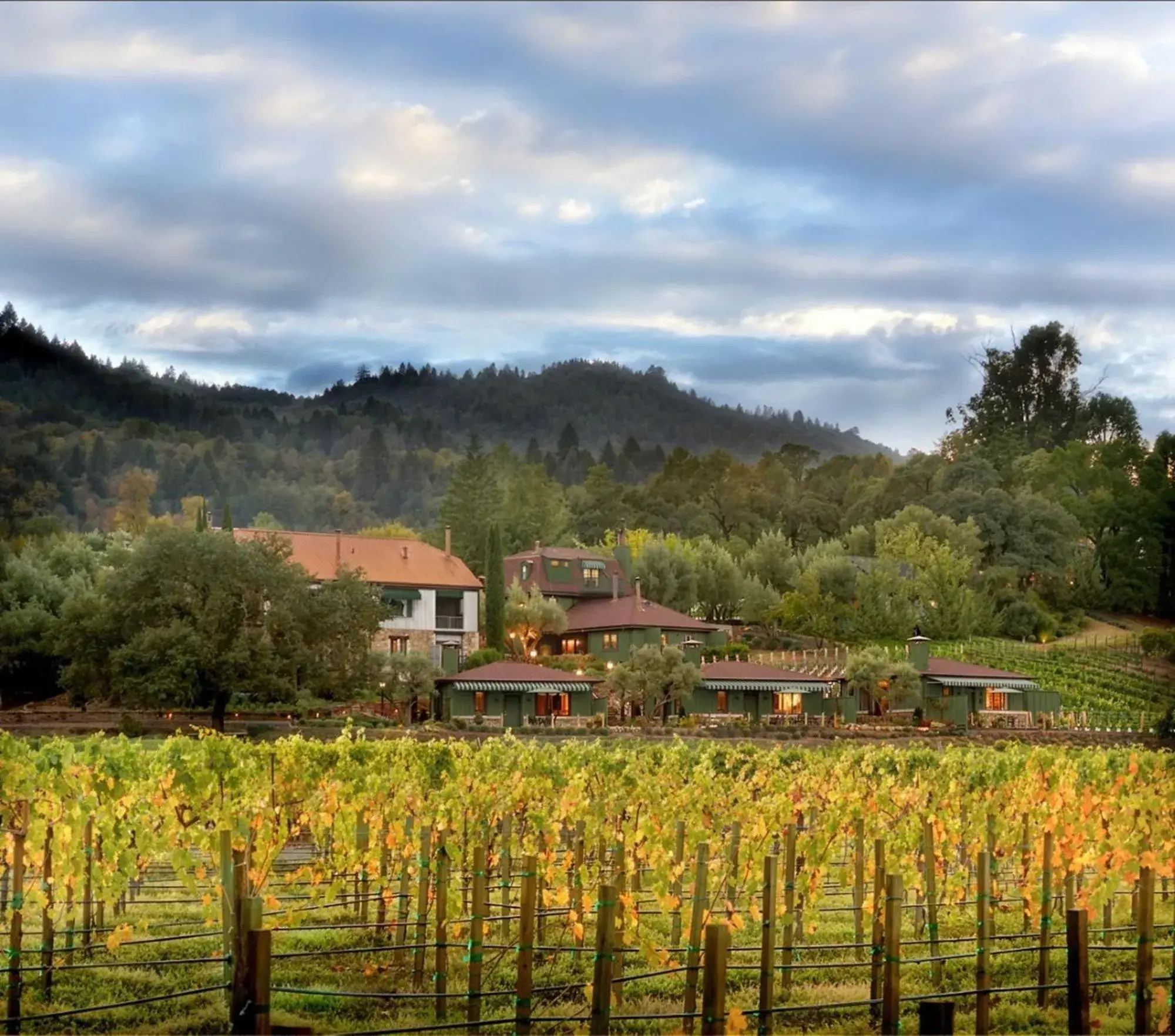 Le Petit Pali St Helena Le Petit Pali St Helena