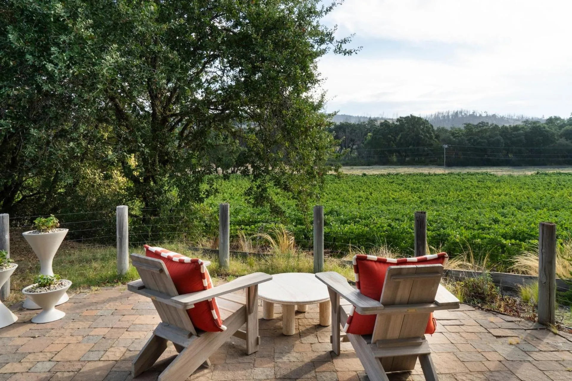 Le Petit Pali St Helena