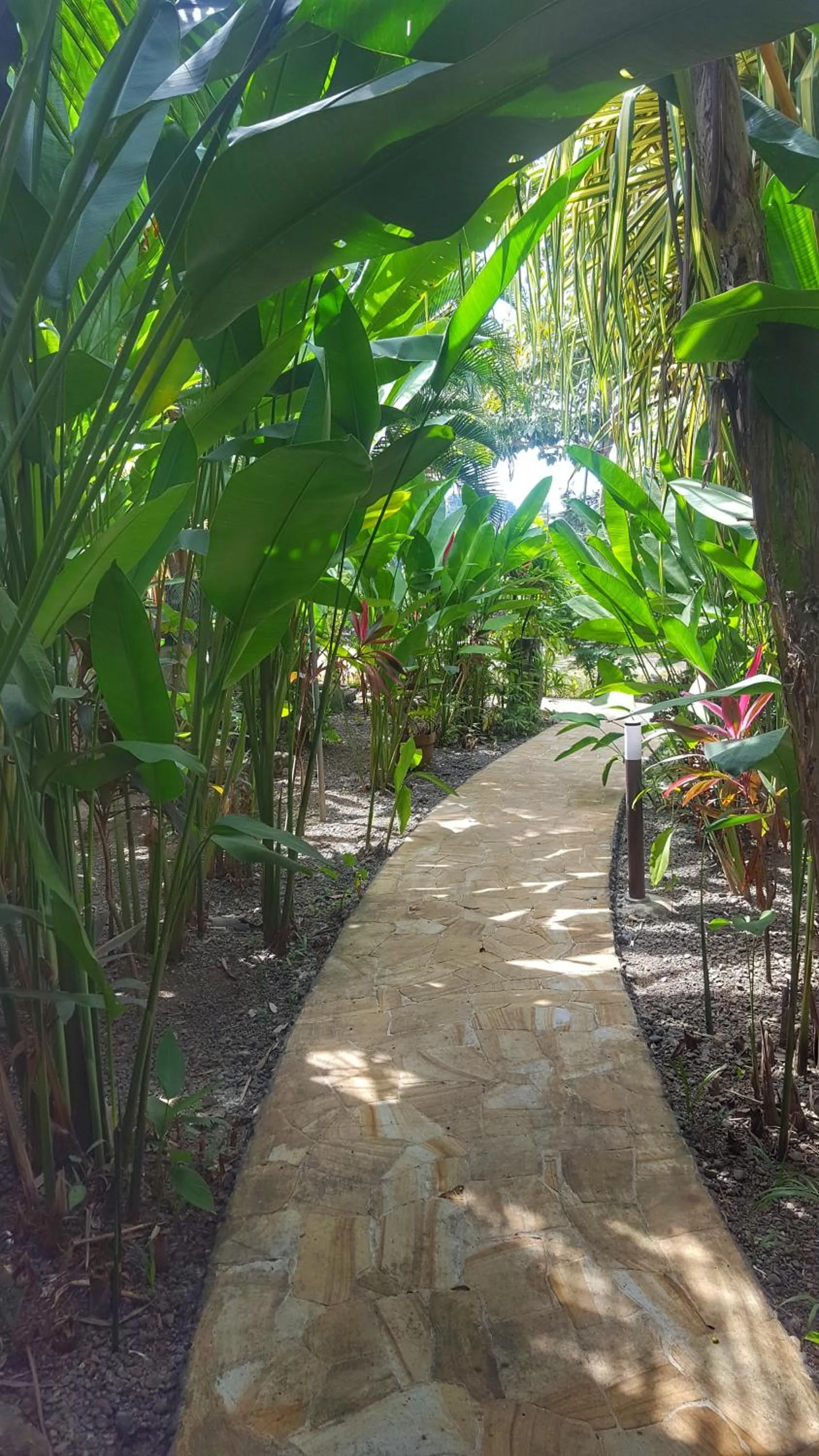 Garden in Pacifico Loft Hotel
