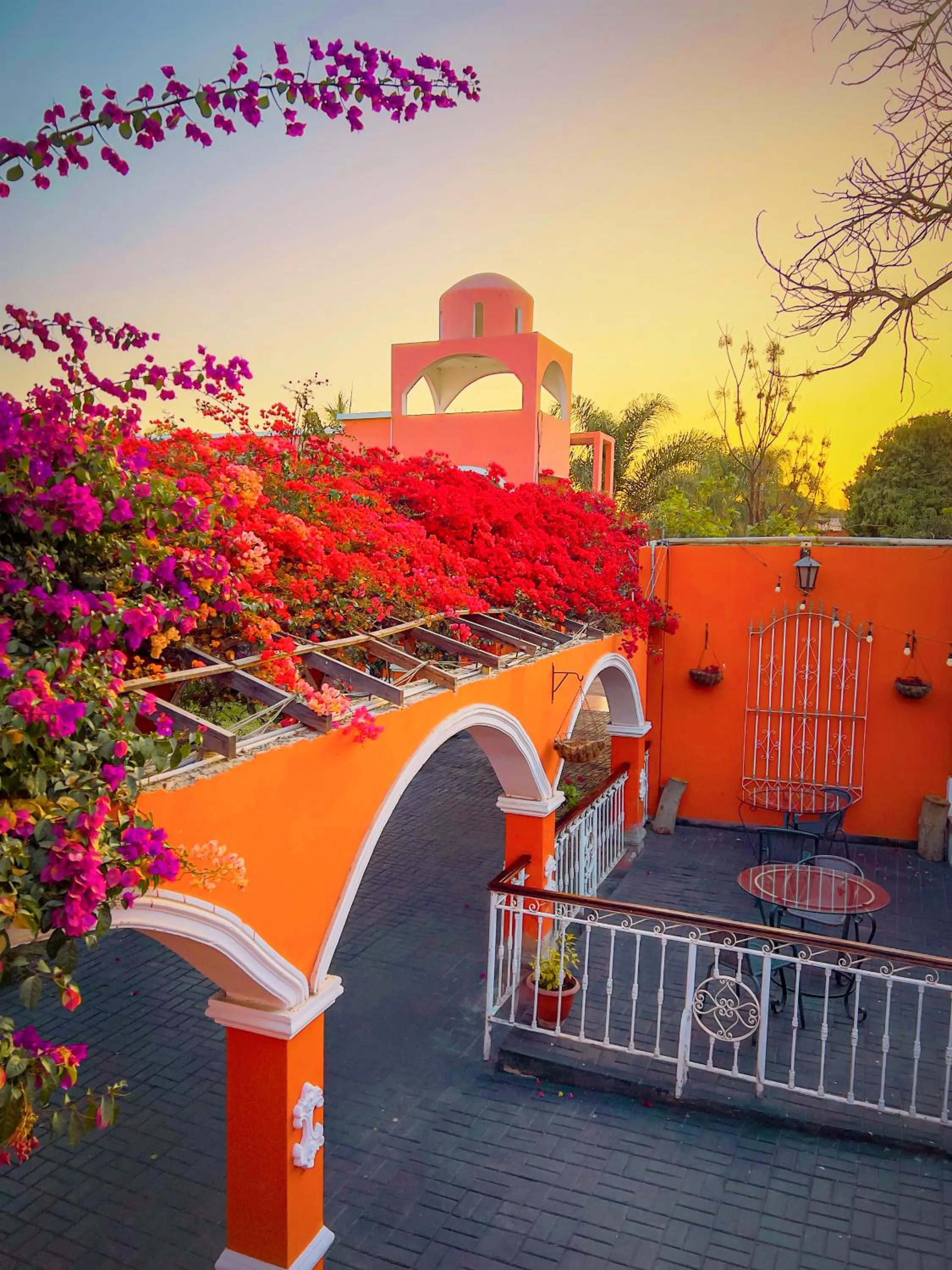 Natural landscape in Hacienda San Juan Resort