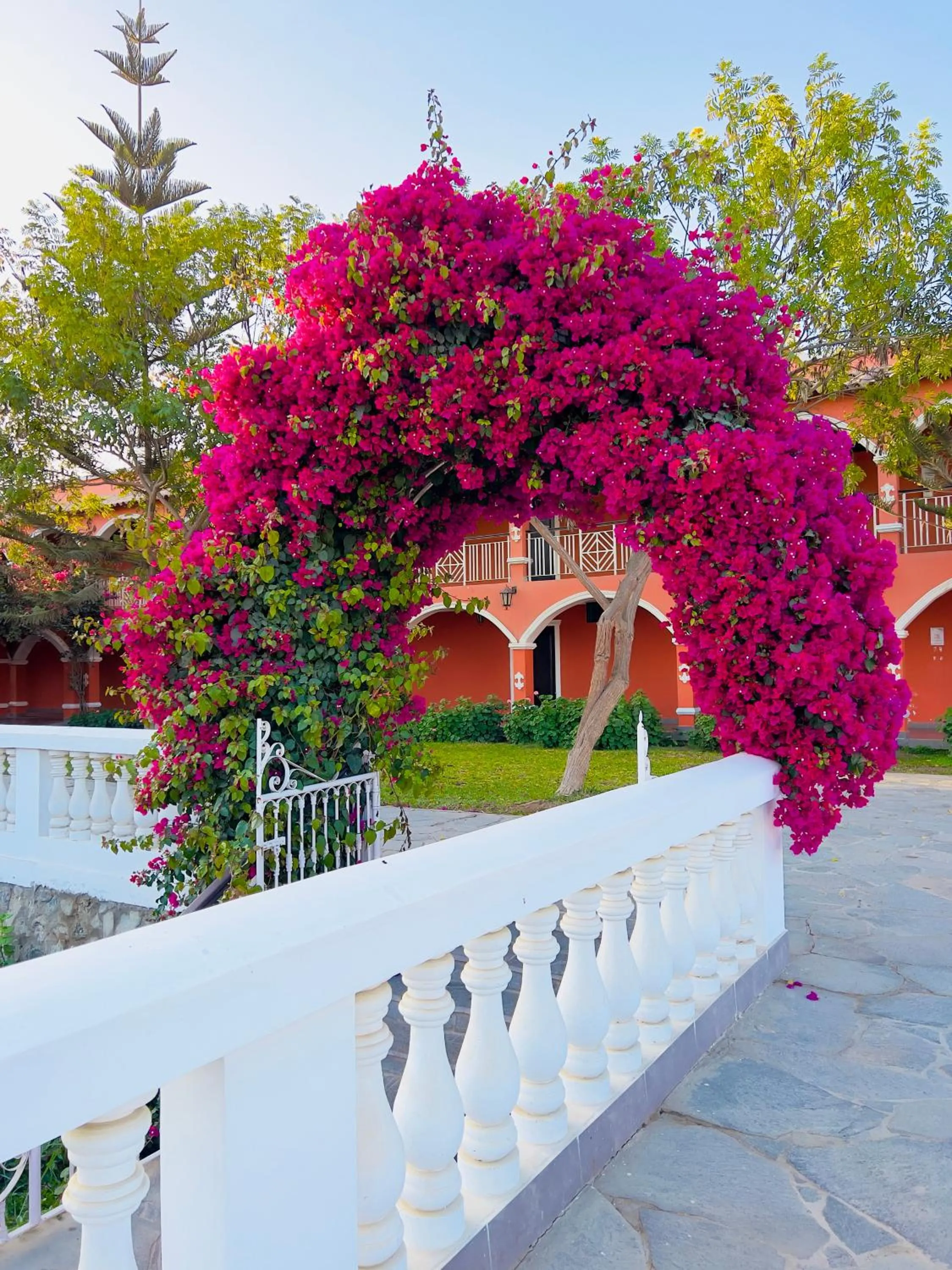 Spring in Hacienda San Juan Resort