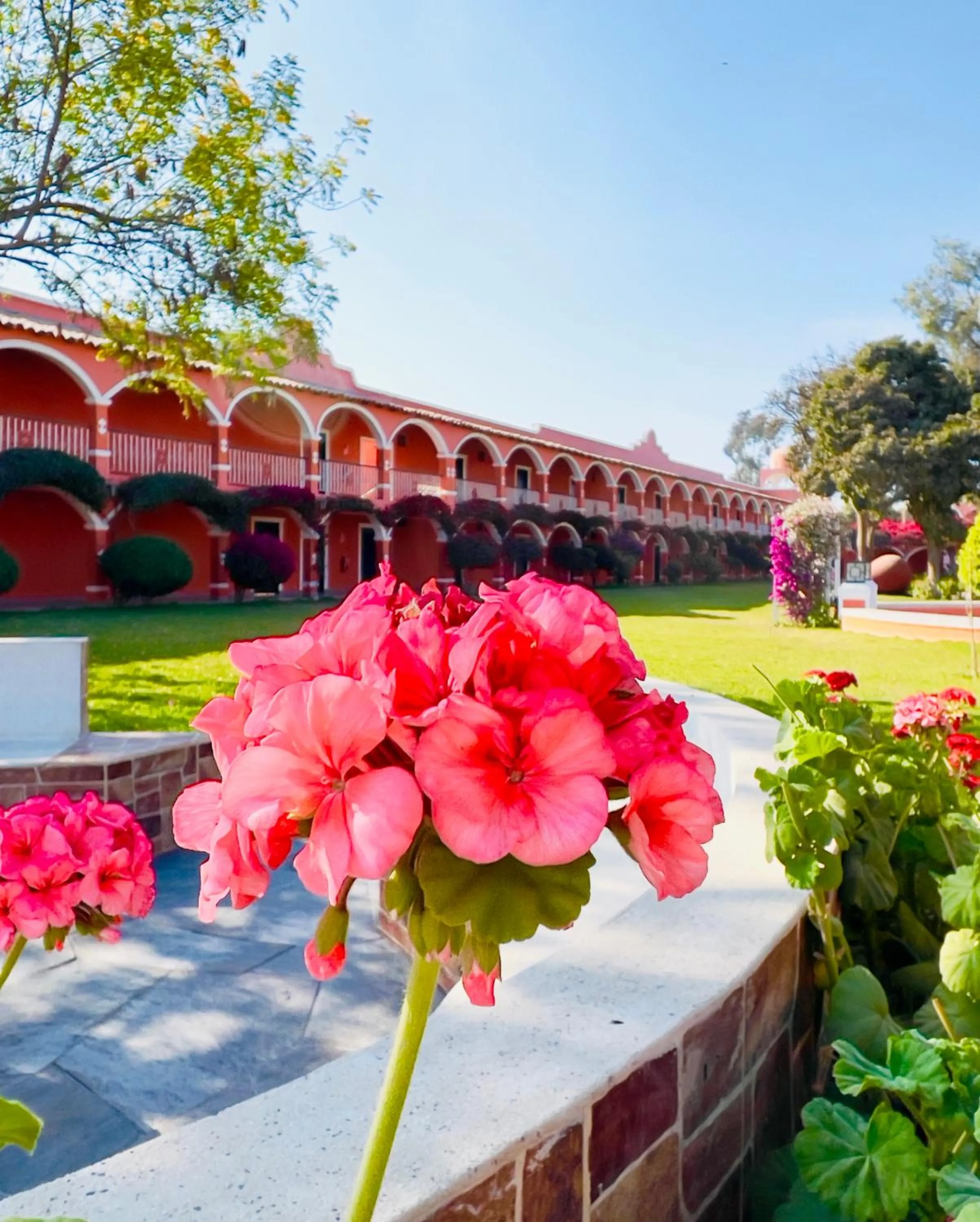 Garden in Hacienda San Juan Resort
