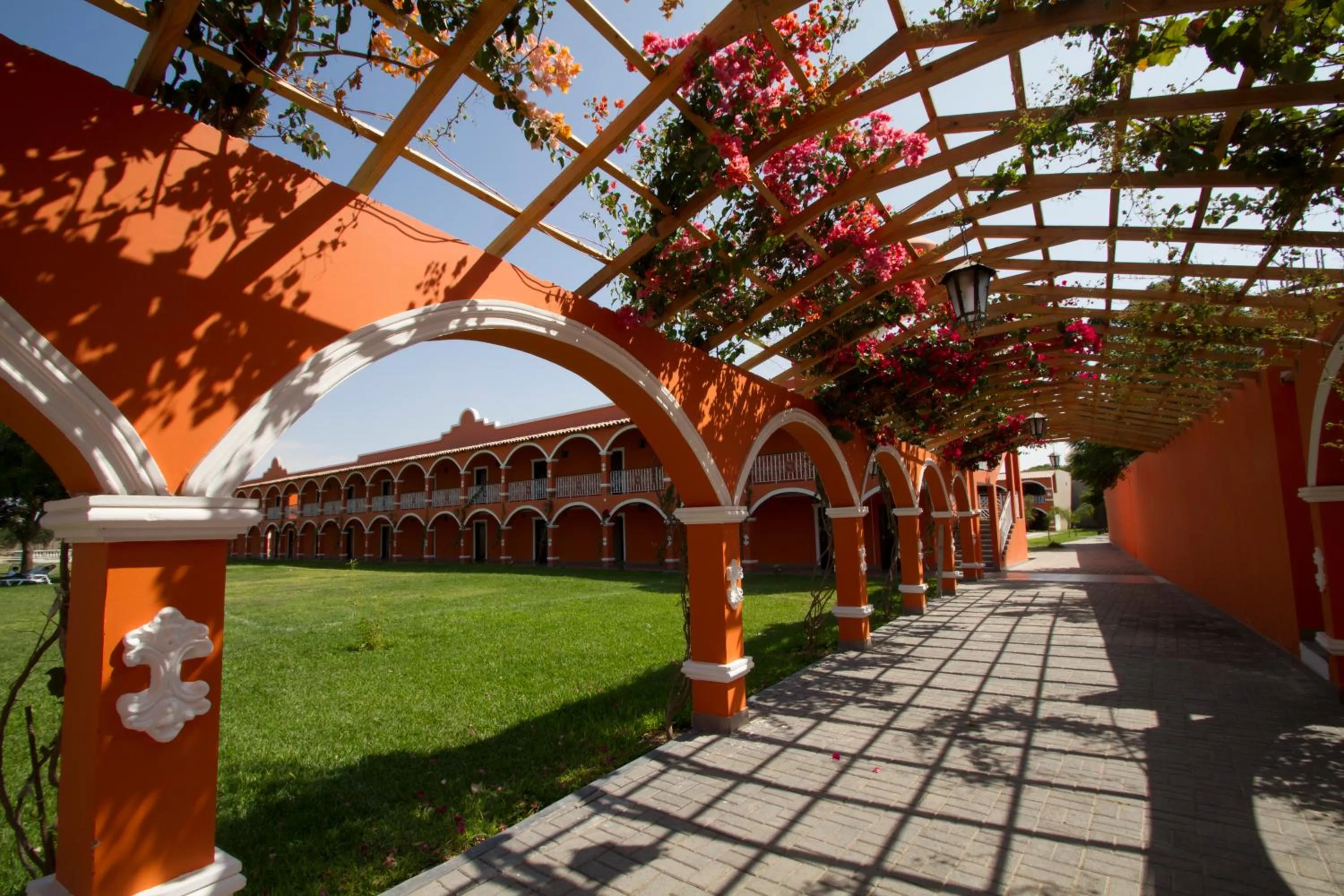 Garden in Hacienda San Juan Resort