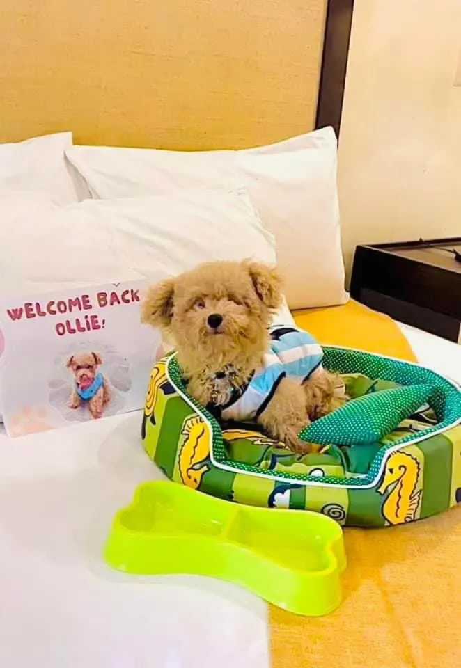 Bedroom in Subic Grand Seas Resort