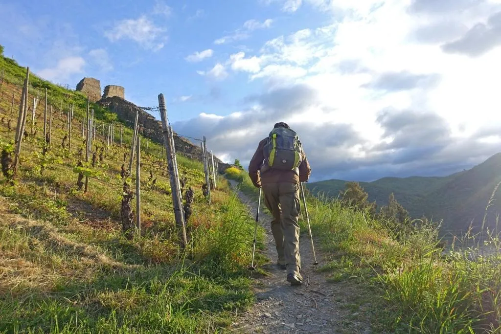 Location in Hotel zur Loreley - Garni