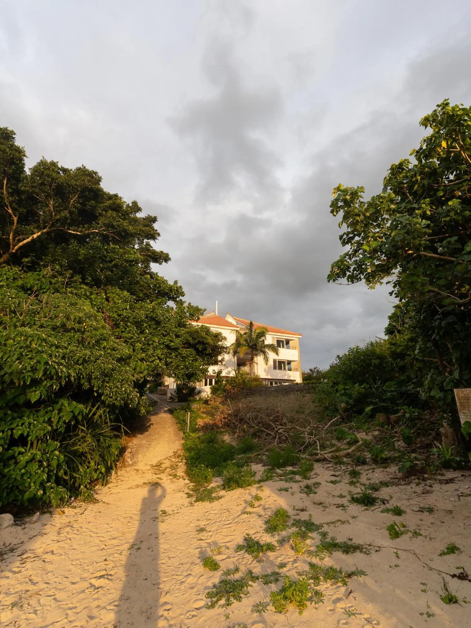 Alaise De Bale Ishigaki