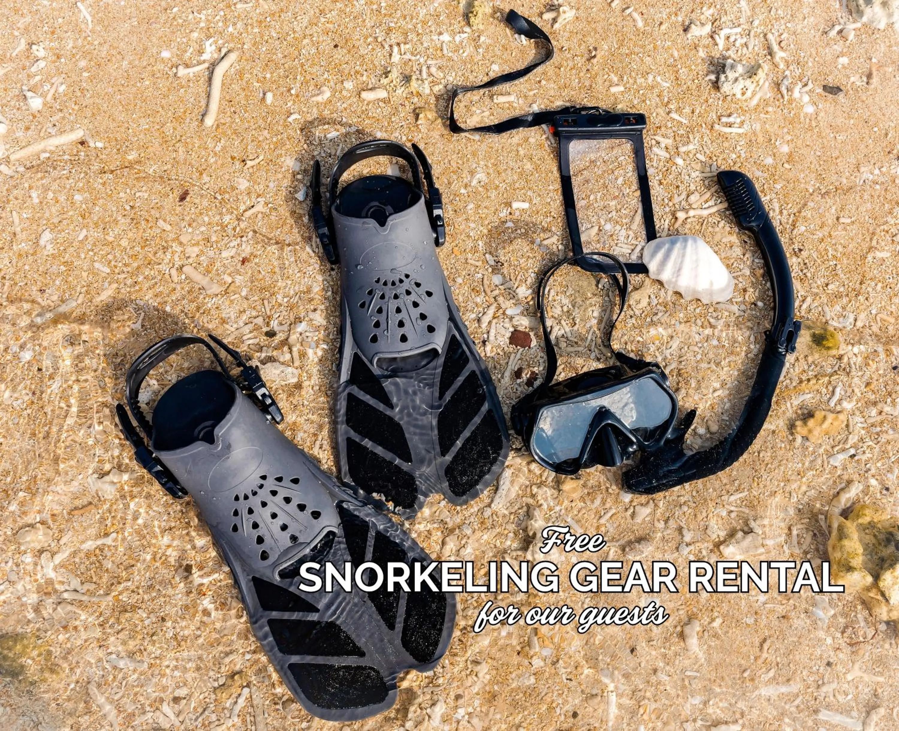 Activities in Sky Ocean - Ishigaki Eco-Resort - Newly Renovated