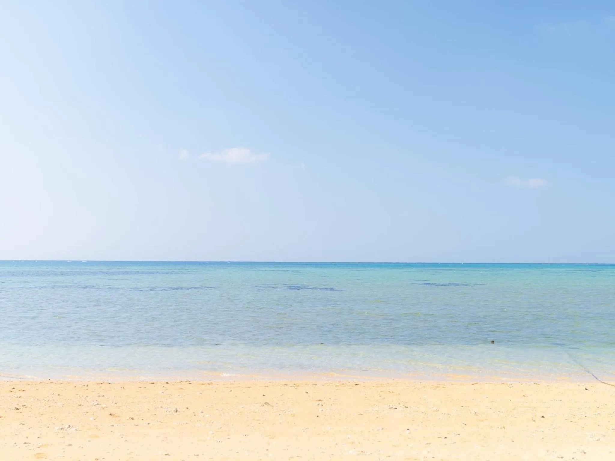 Alaise De Bale Ishigaki