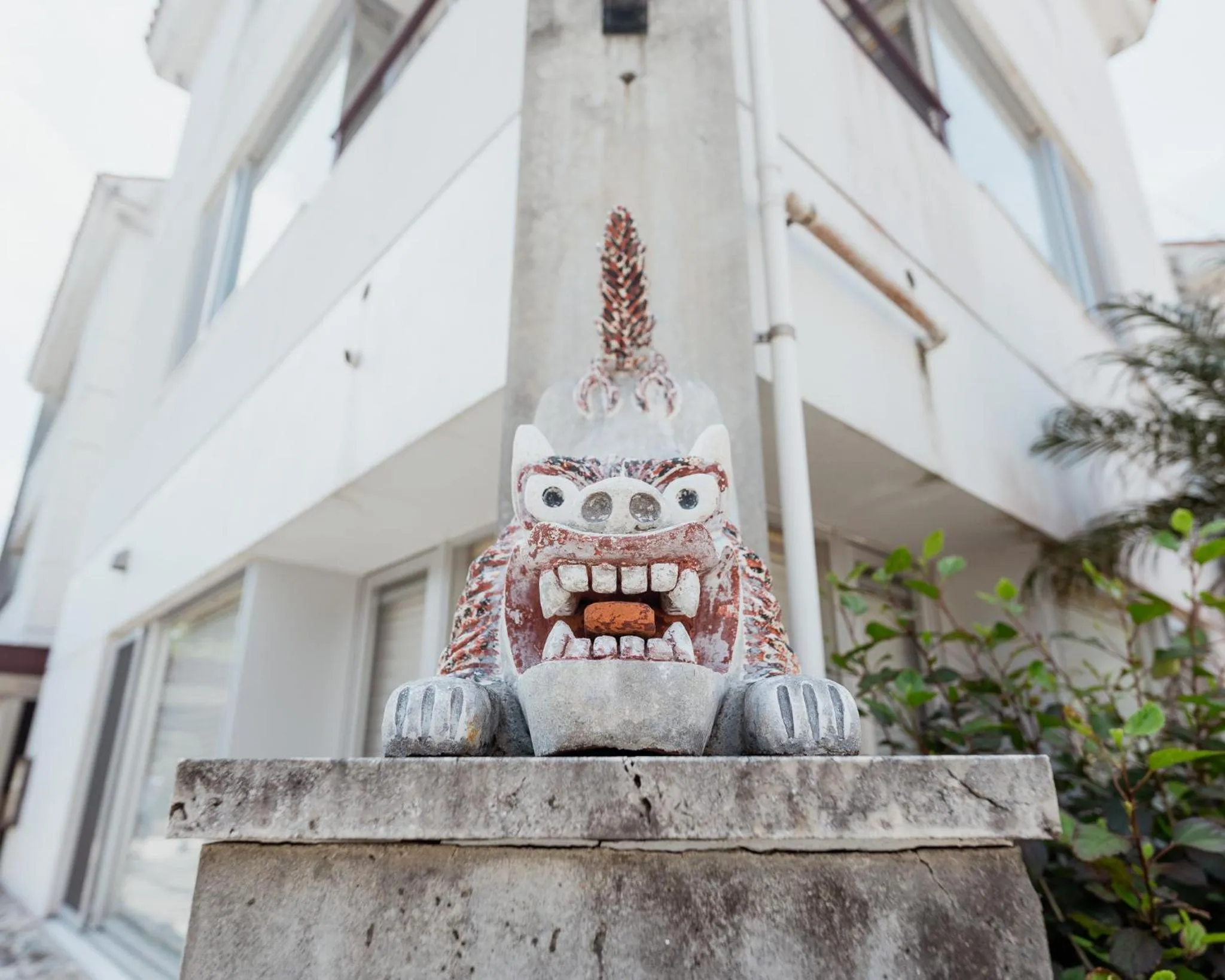 Alaise De Bale Ishigaki