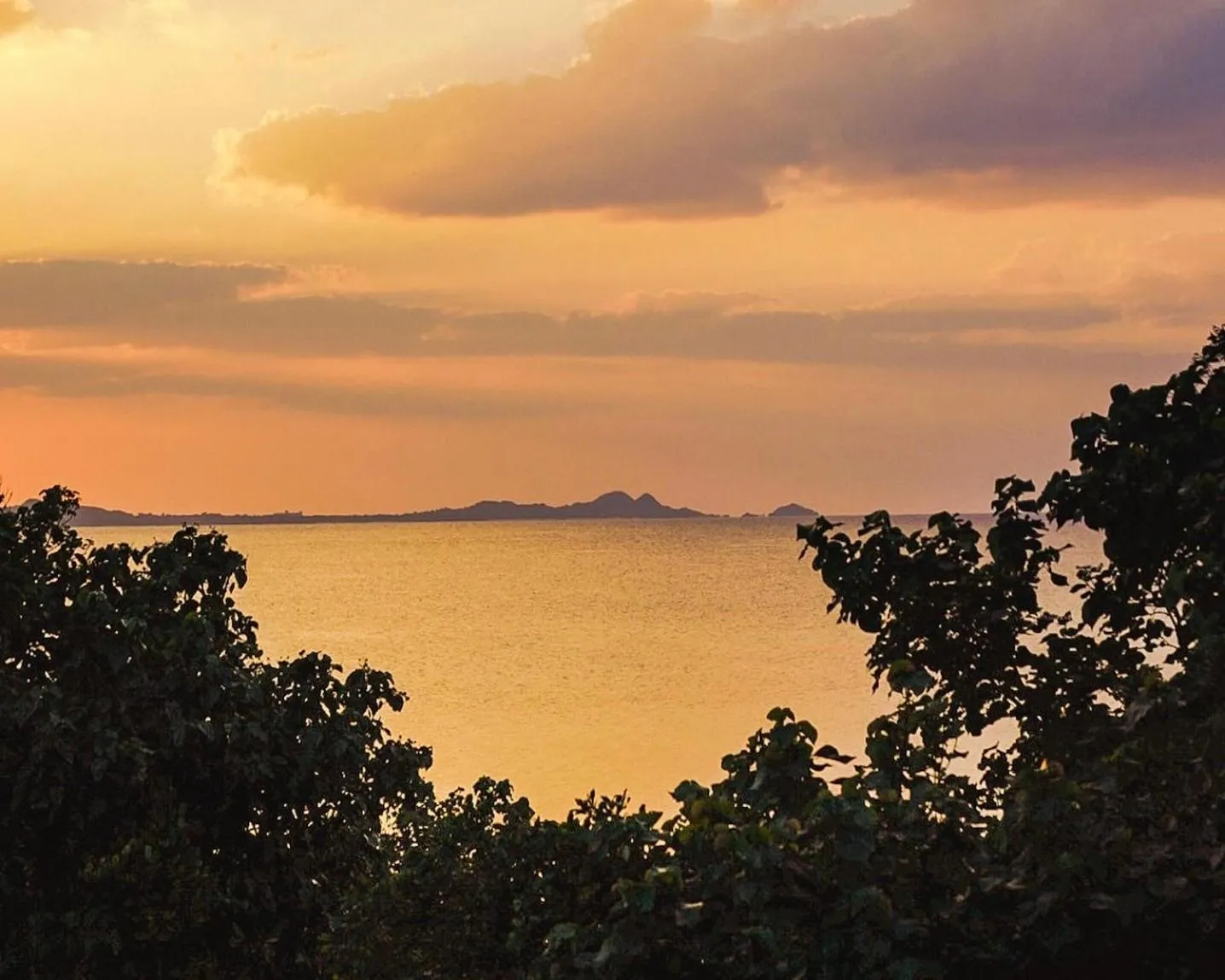 Alaise De Bale Ishigaki