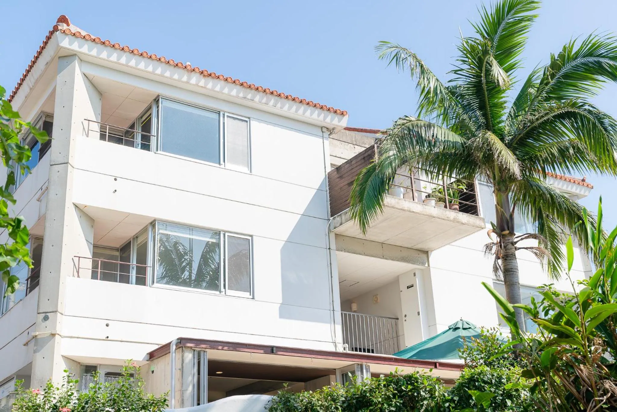 Alaise De Bale Ishigaki