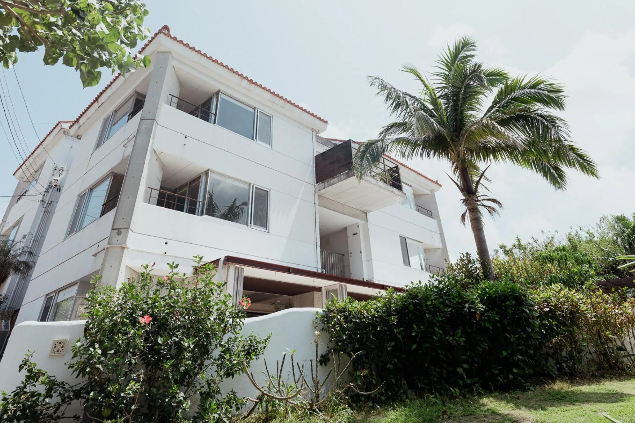 Alaise De Bale Ishigaki