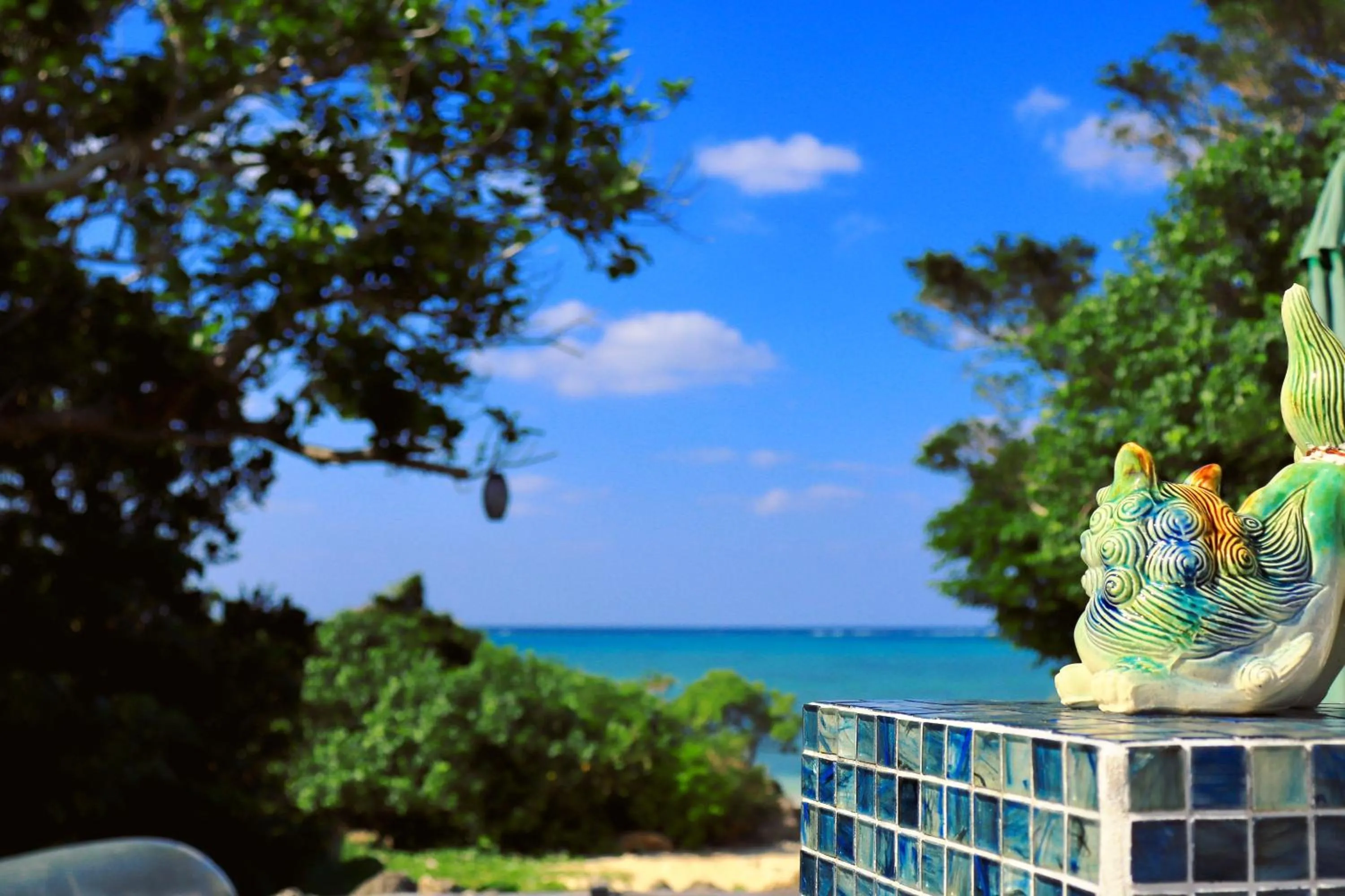 Garden in Alaise De Bale Ishigaki