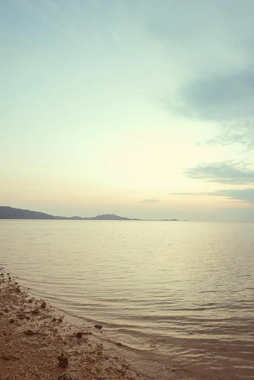 Alaise De Bale Ishigaki