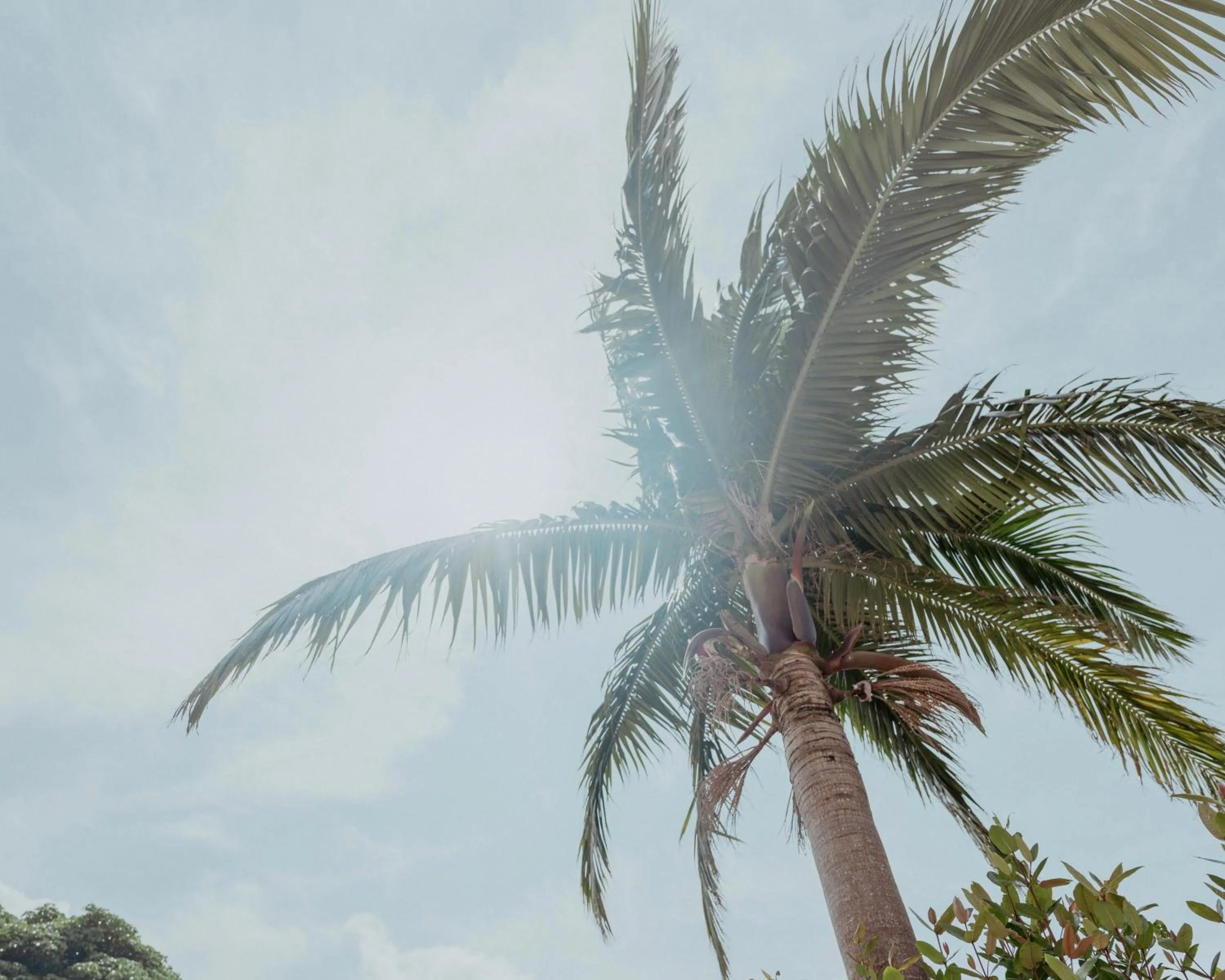 Alaise De Bale Ishigaki