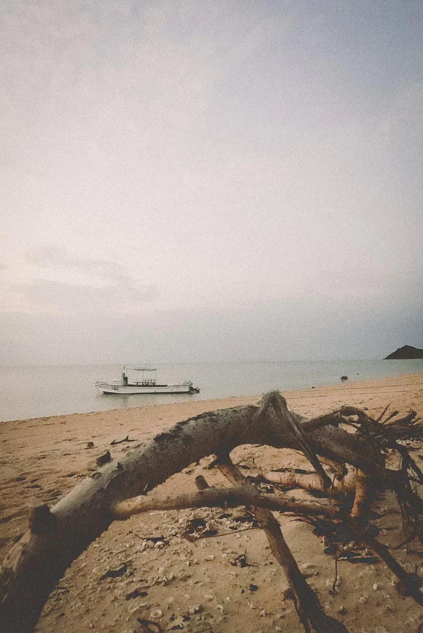 Alaise De Bale Ishigaki