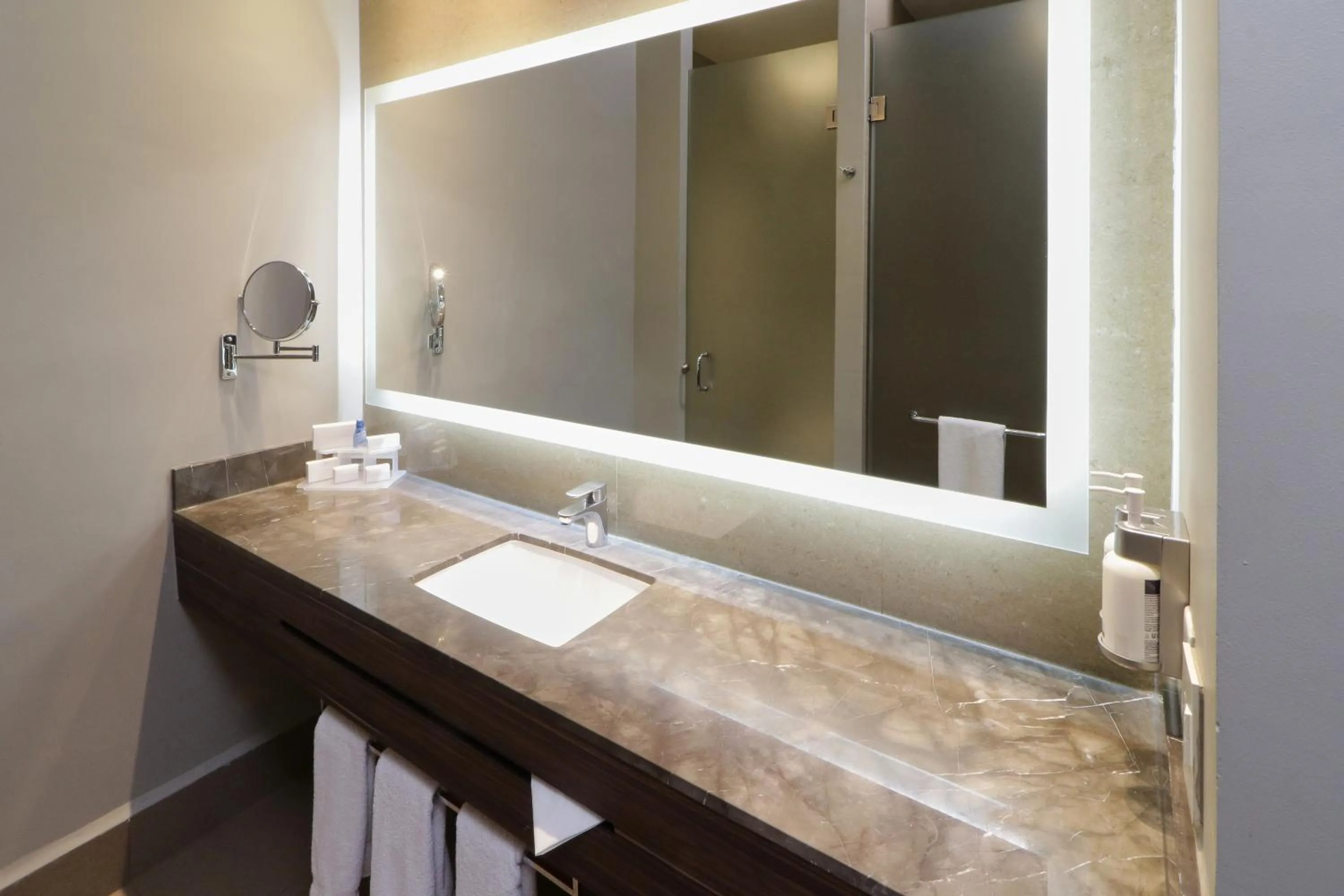 Bathroom in Holiday Inn Express & Suites Monterrey Valle by IHG