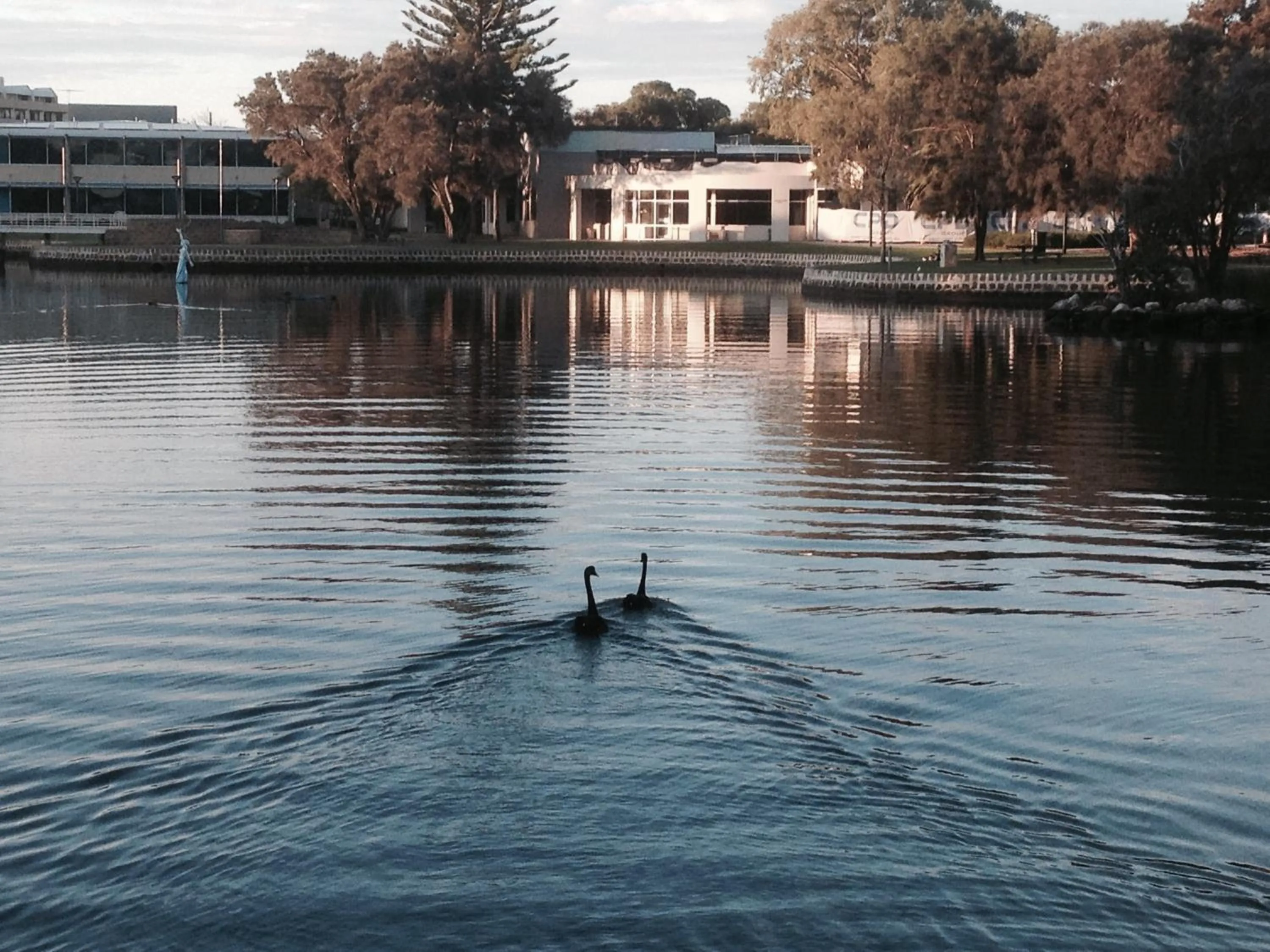 Natural landscape in Mandurah Ocean Marina Chalets