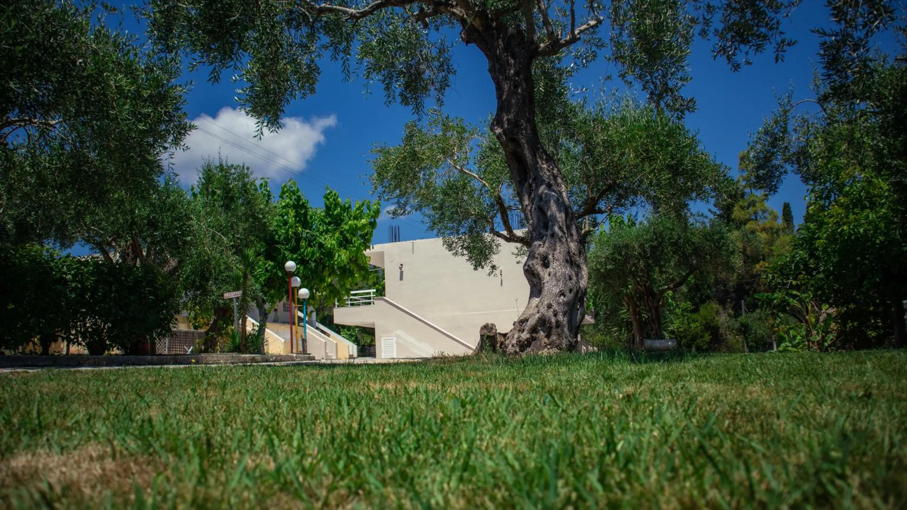 Garden view in Kalypso studio Resorts