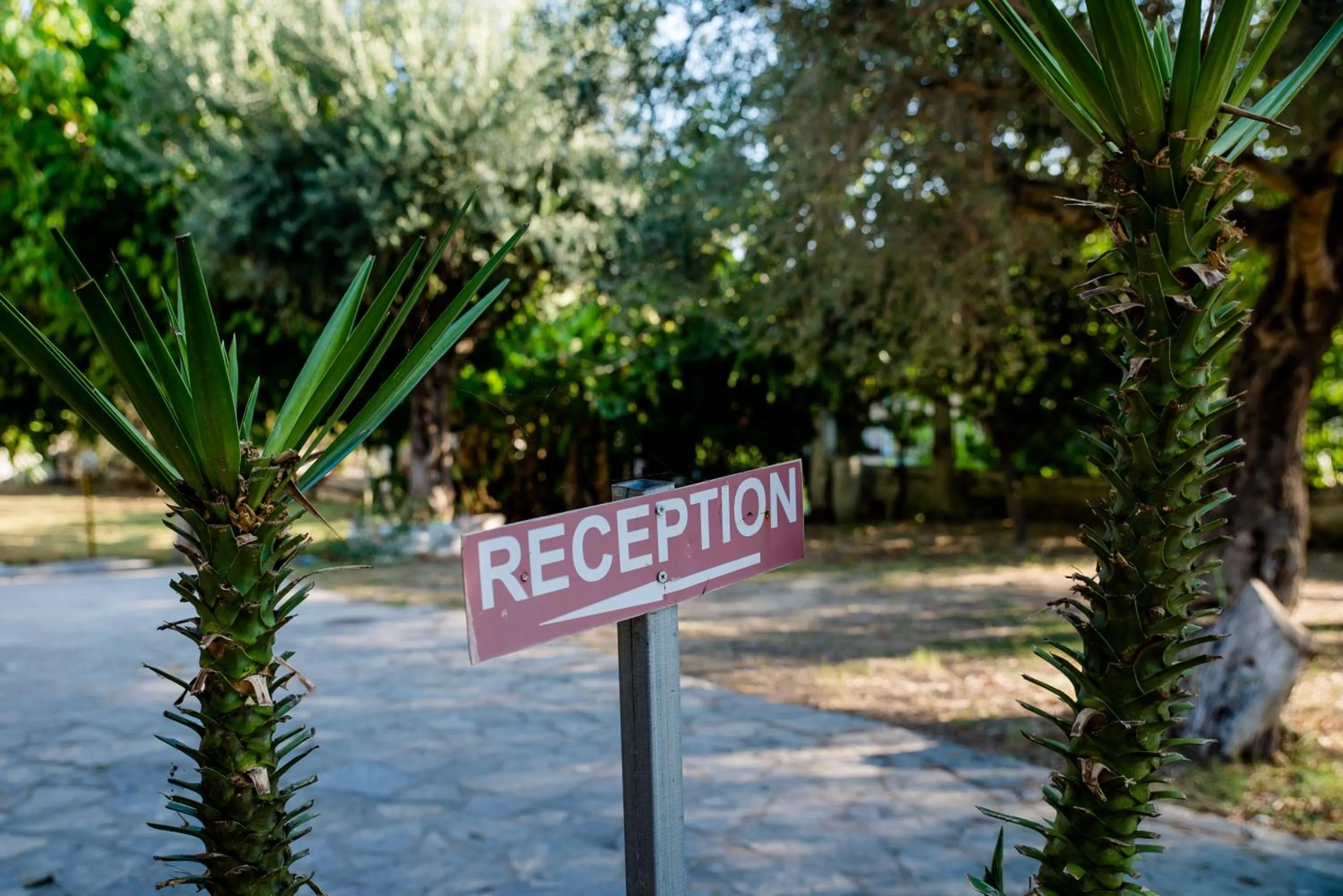 Lobby or reception in Kalypso studio Resorts