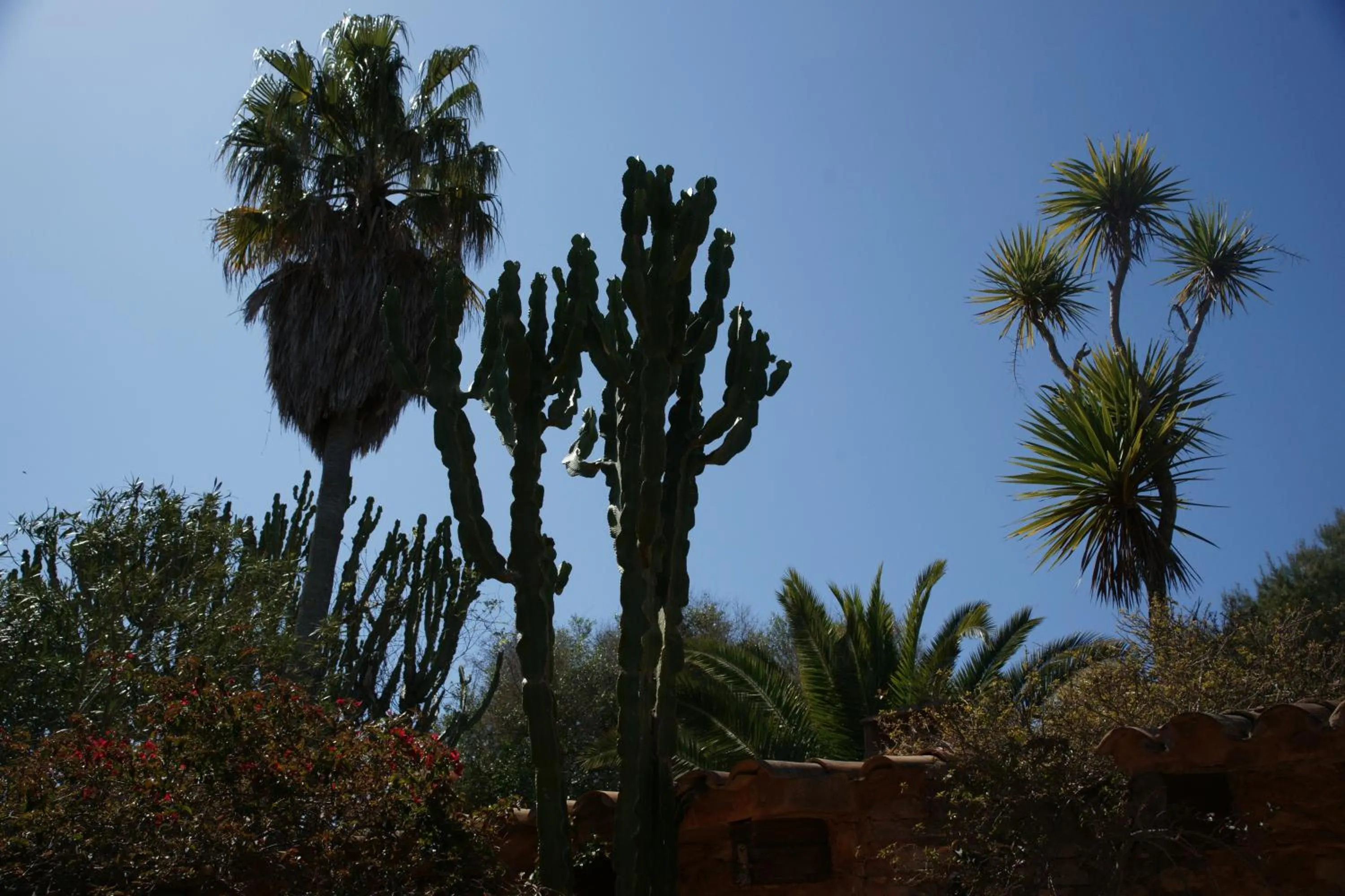 Garden view in Son Vent