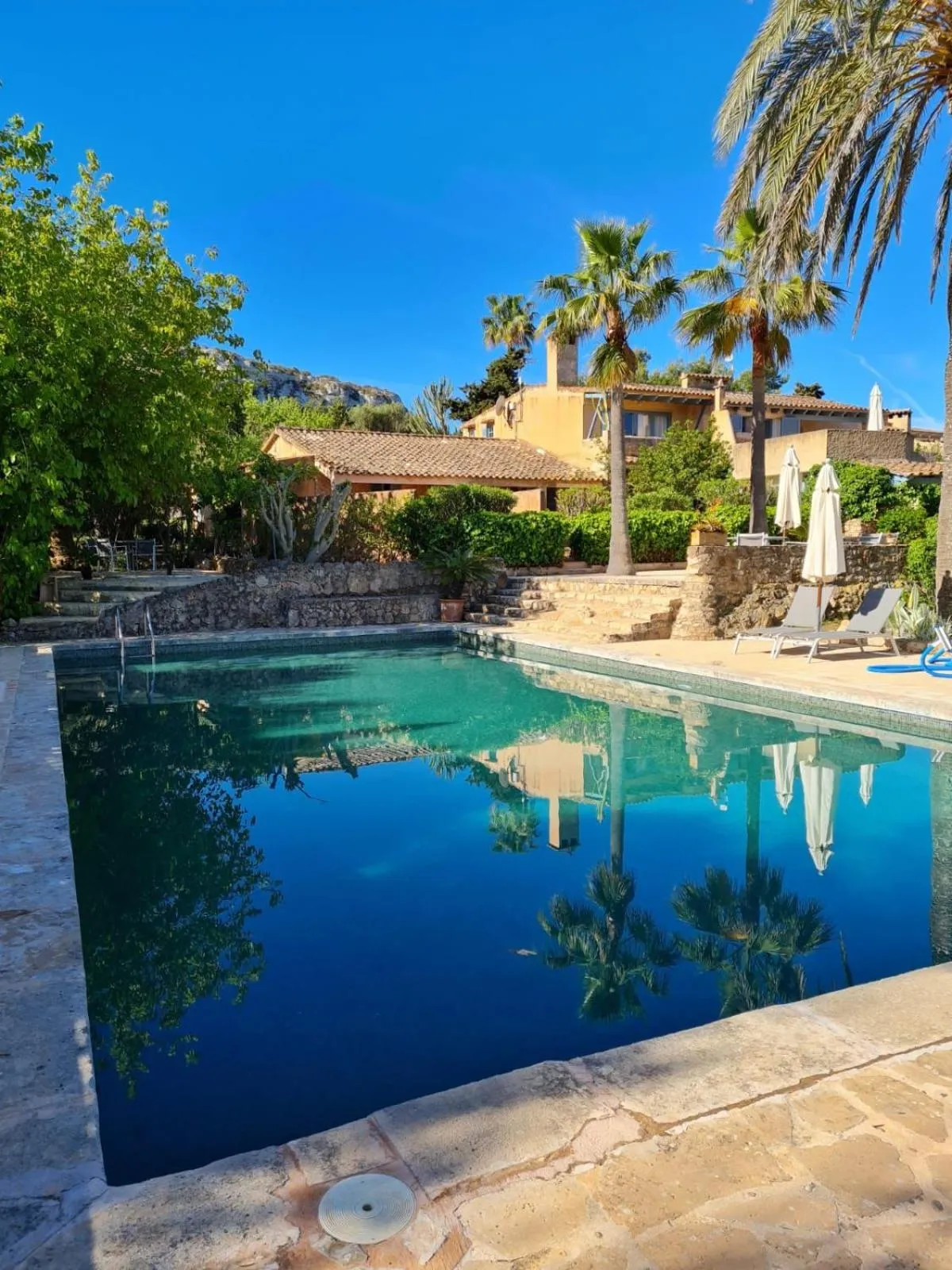 Property building in Son Vent