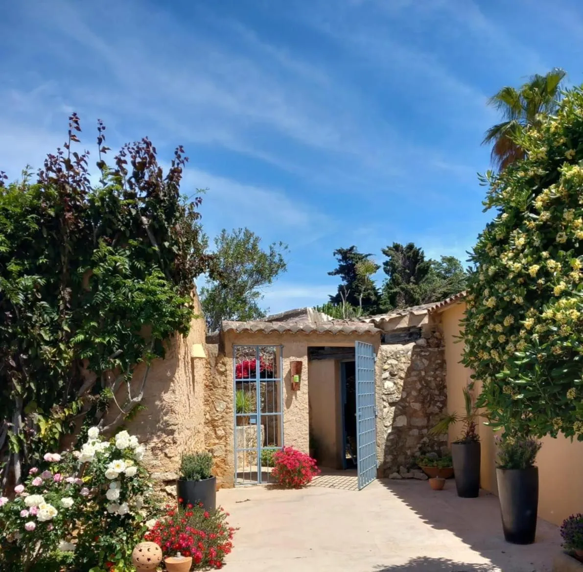 Property building in Son Vent