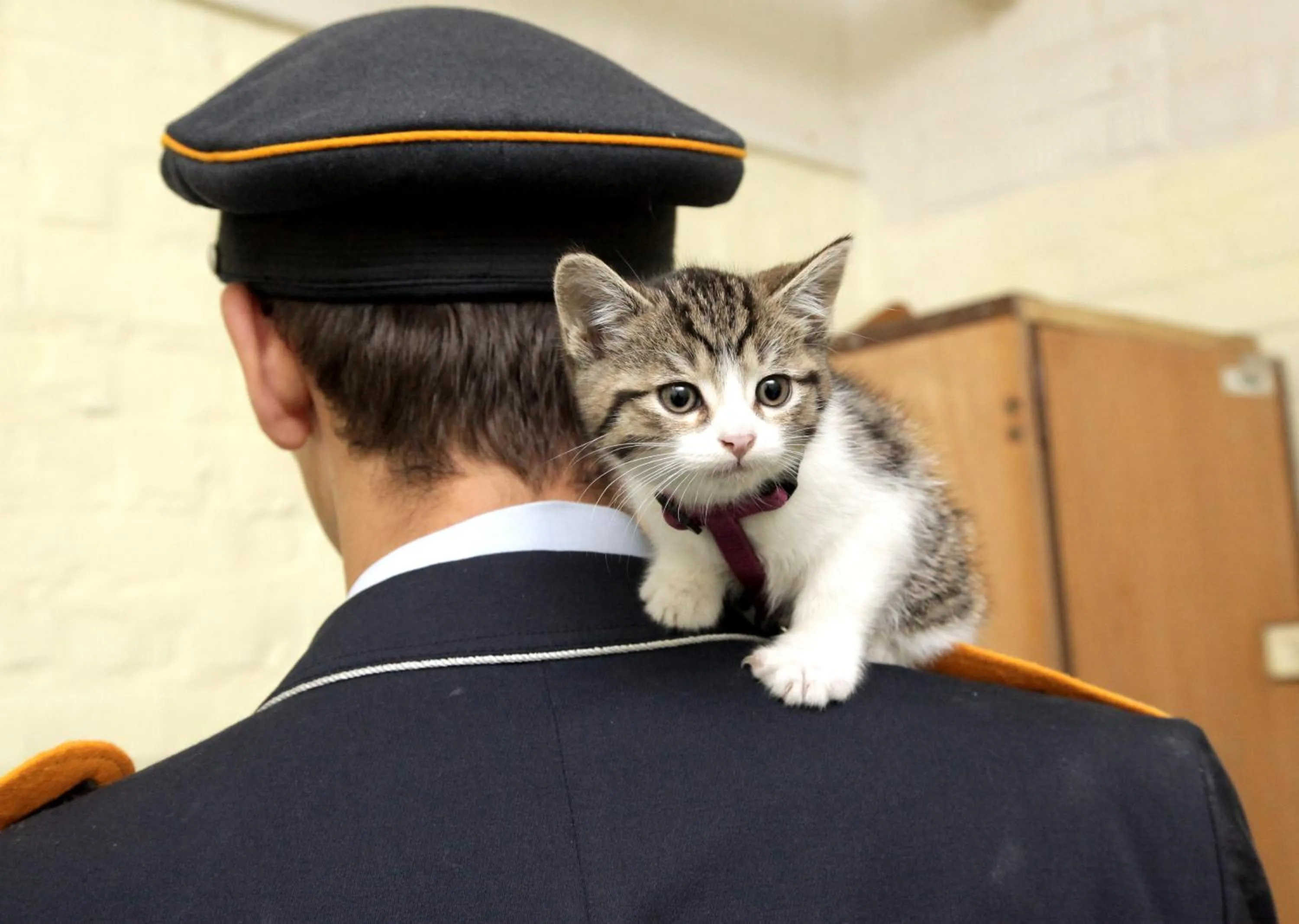 Decorative detail in 10-Z Bunker