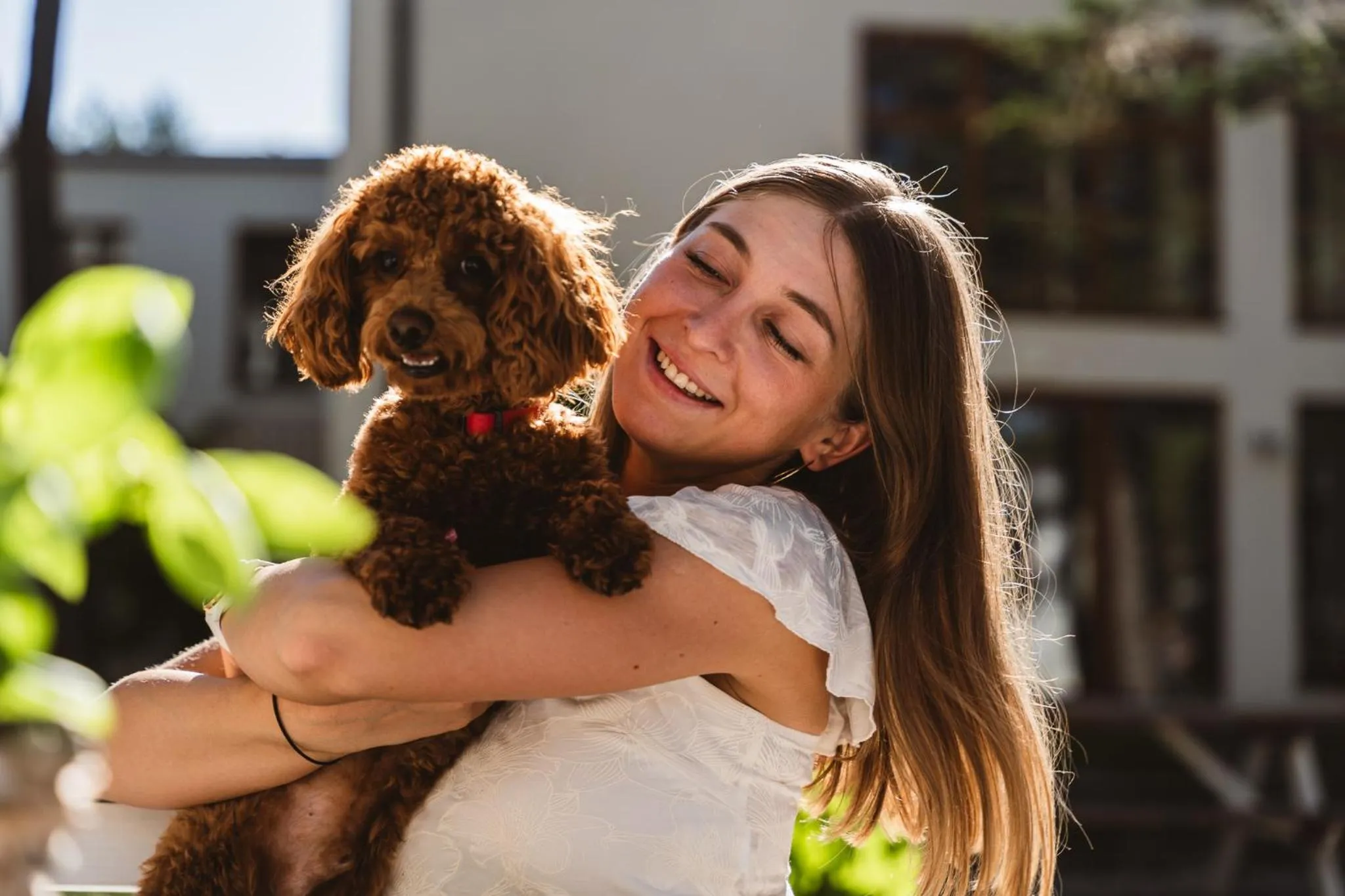 Animals in Neptuno Resort & Spa