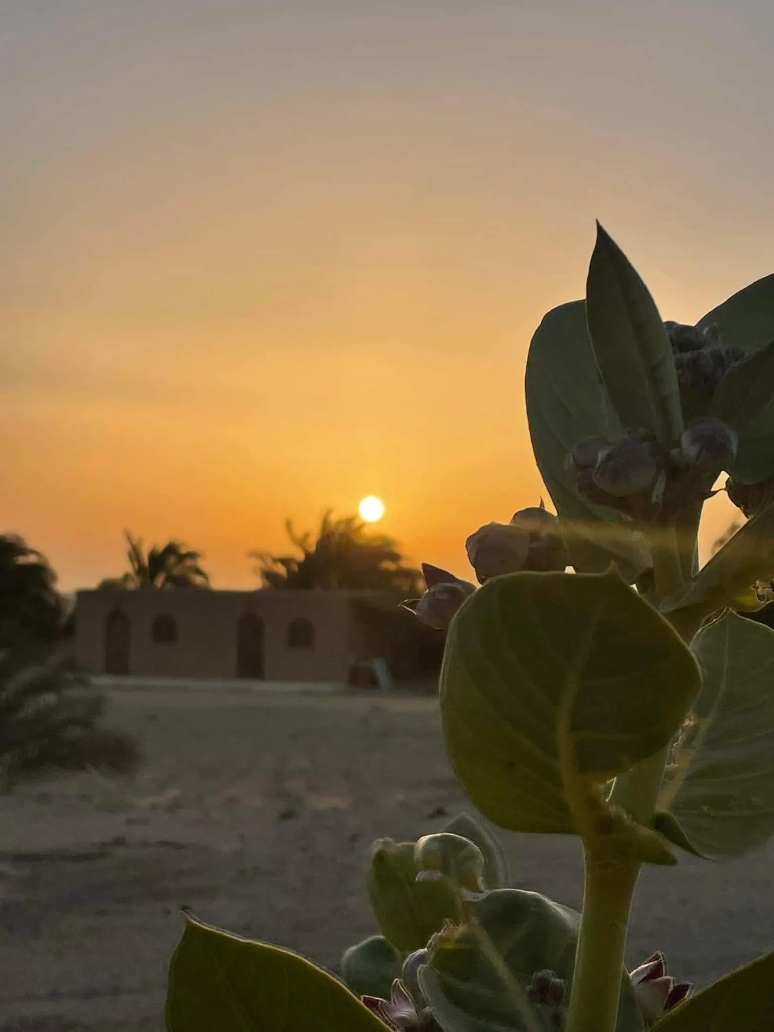 Qasr El Bagawat Hotel