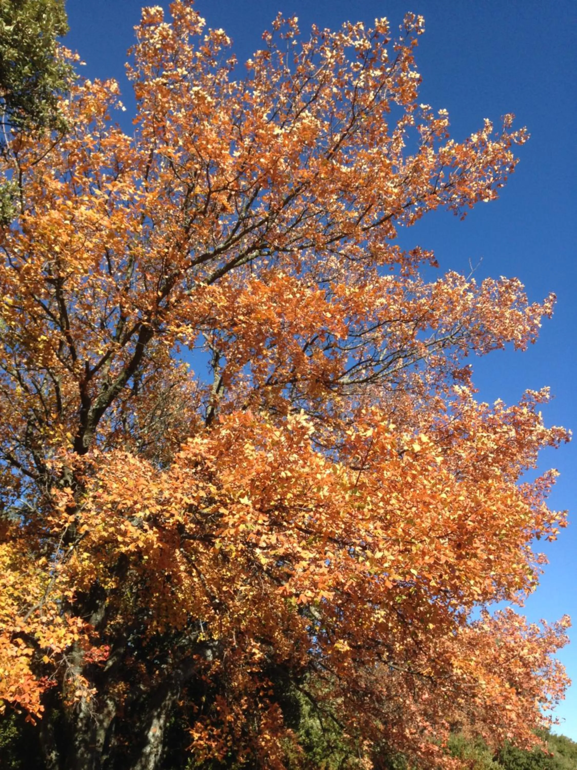 Natural landscape in Le Verger