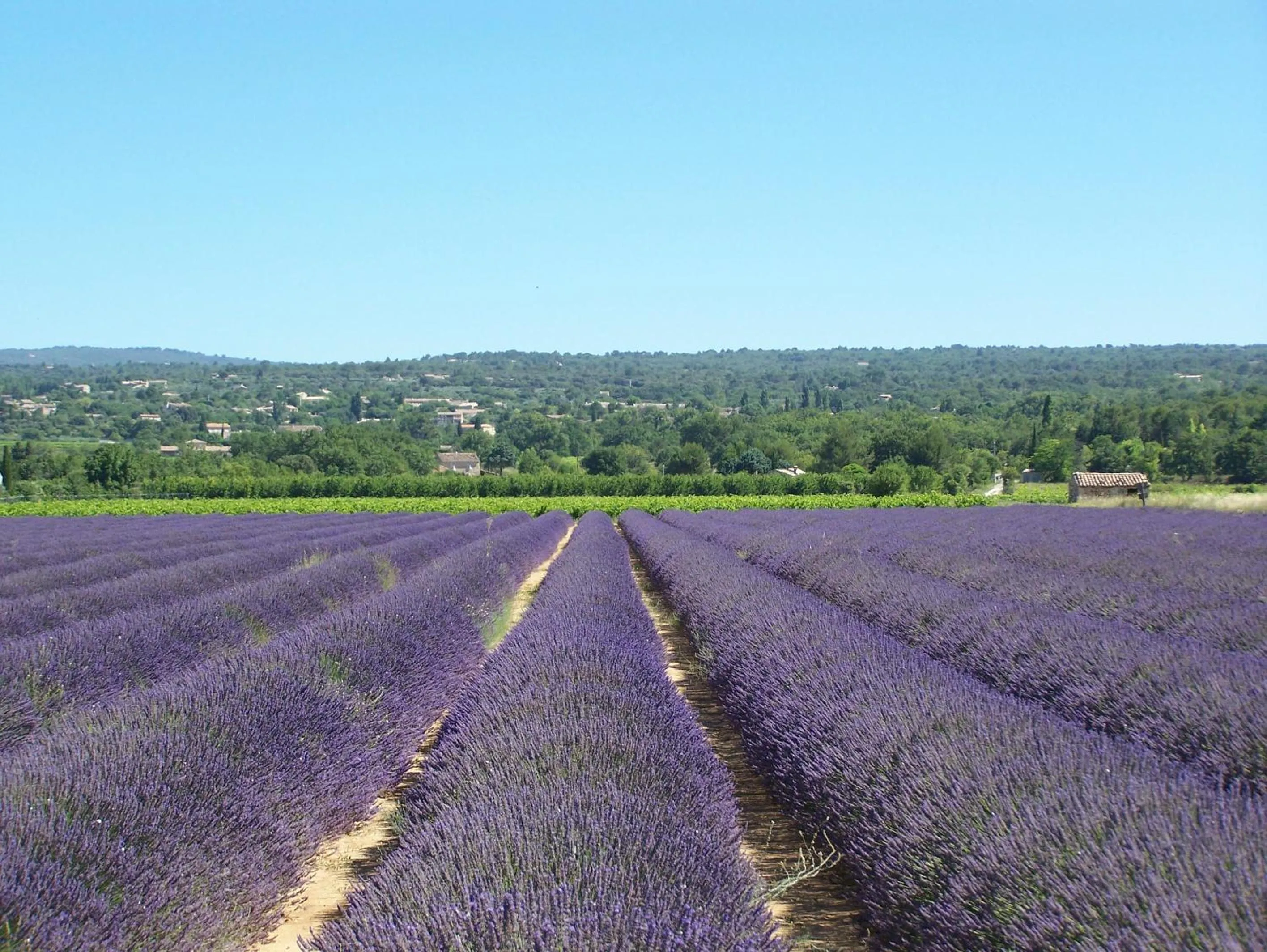 Neighbourhood in Le Verger