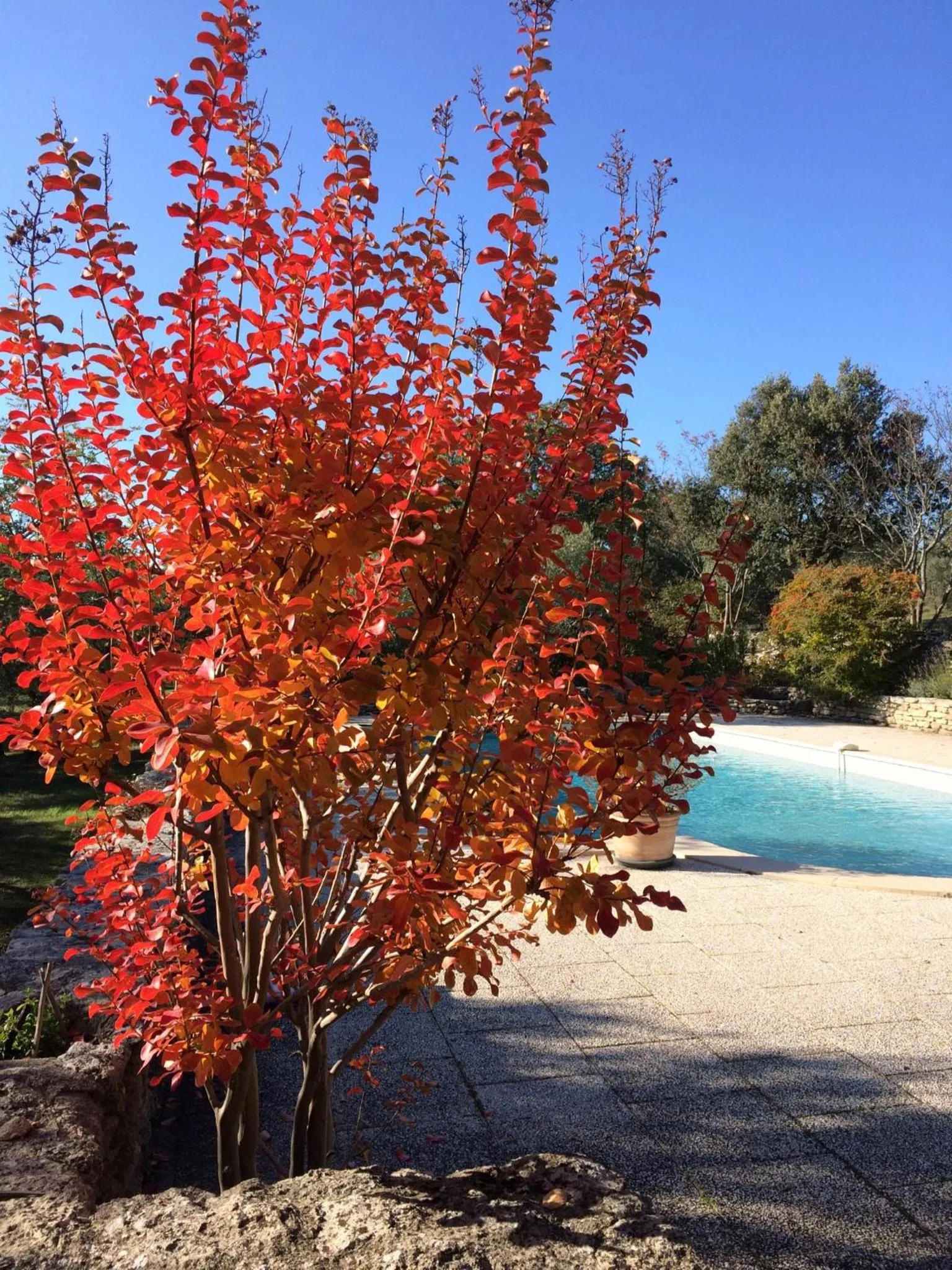 Swimming pool in Le Verger