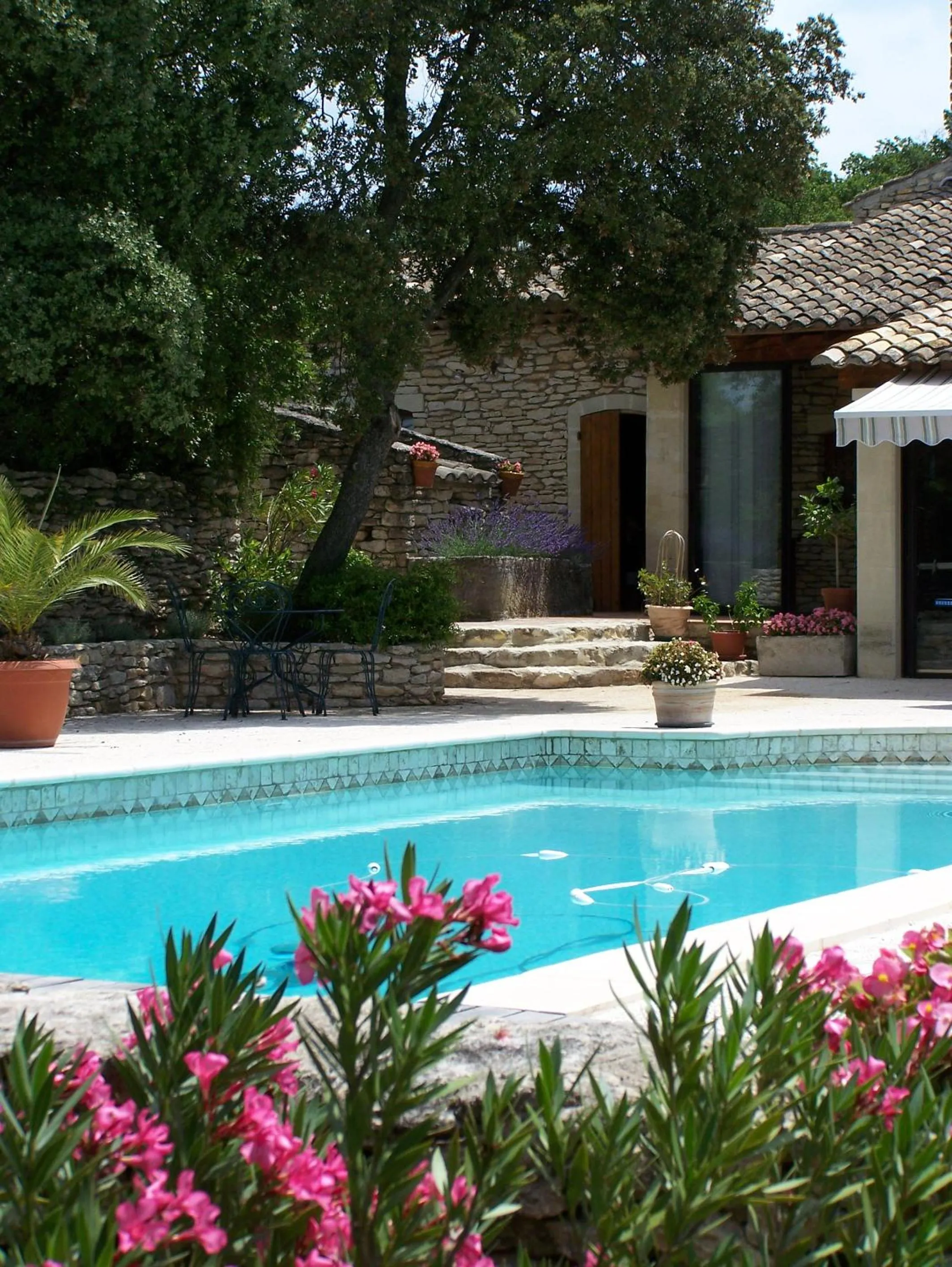 Swimming pool in Le Verger