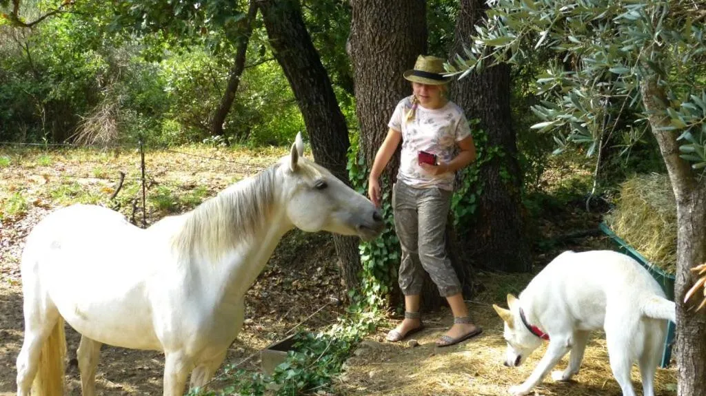 Animals in Le Verger