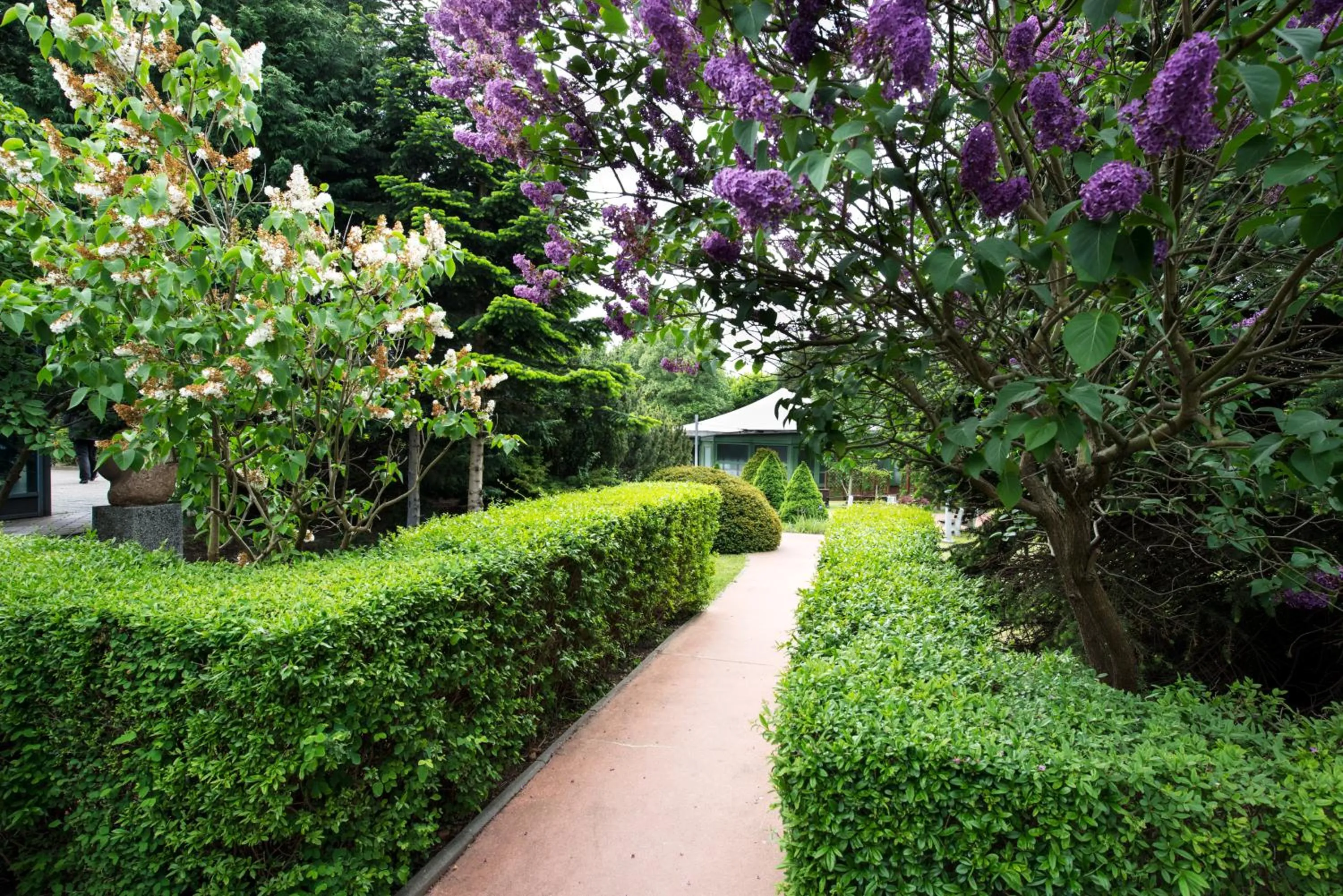 Garden in Mercure Gdańsk Posejdon
