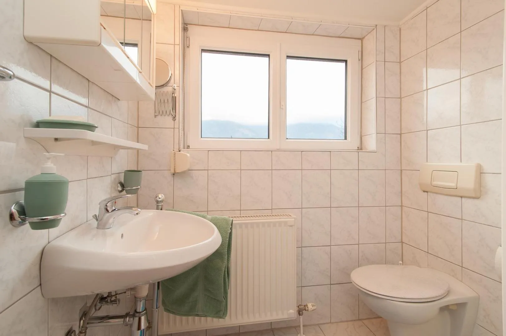 Toilet in Lug ins Land