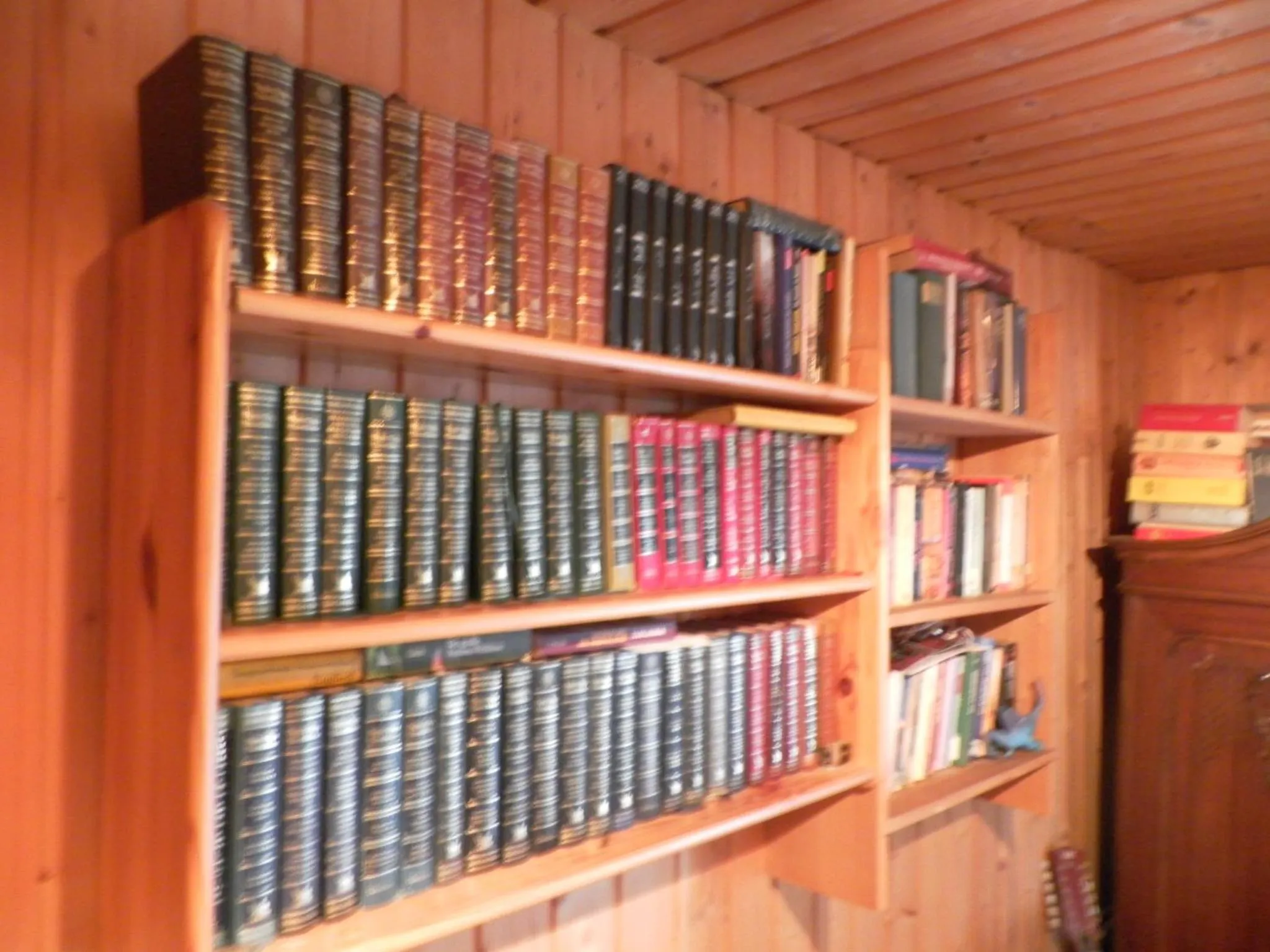 Library in Lug ins Land