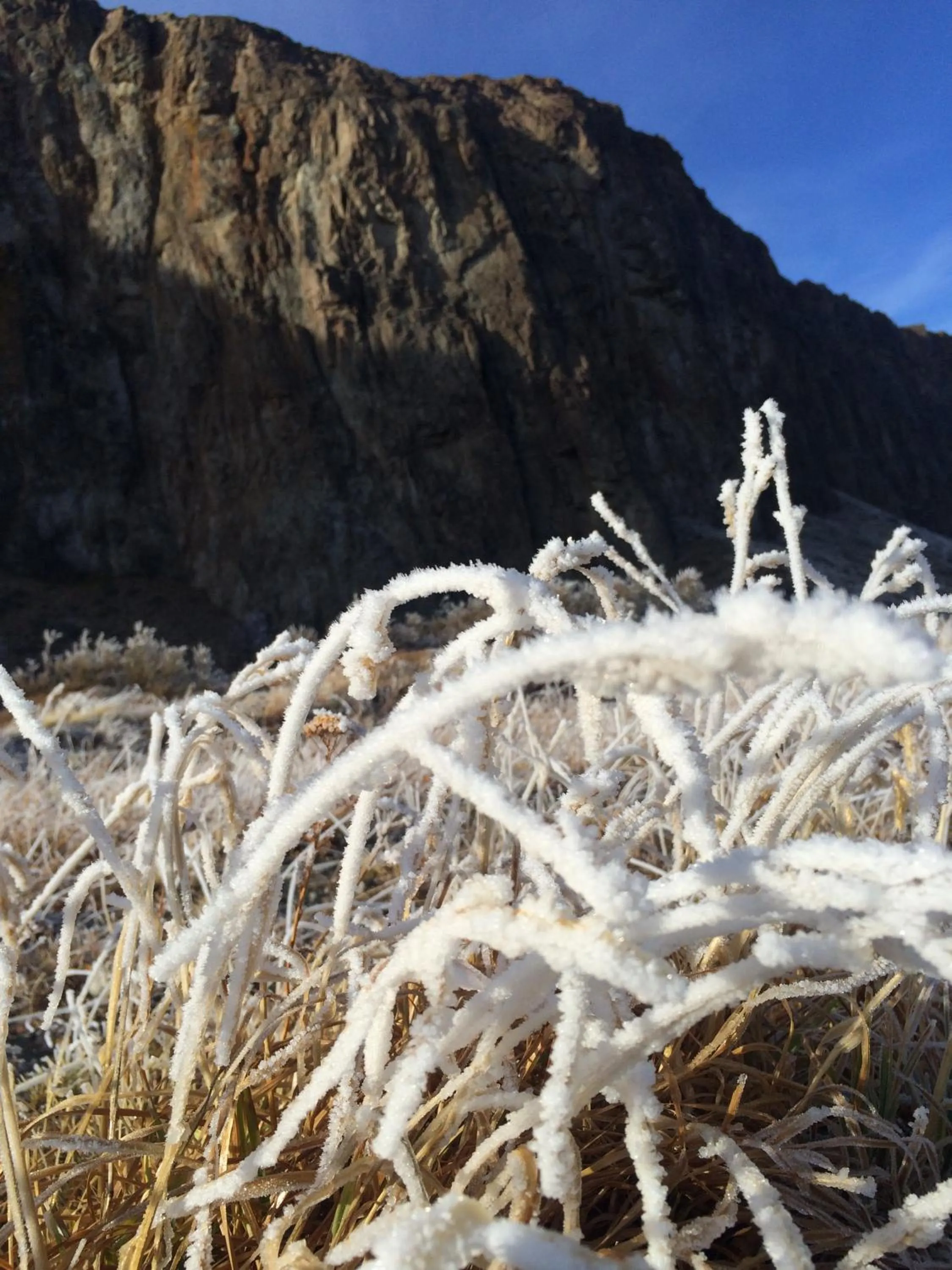 Natural landscape in Hostería Vertical Lodge