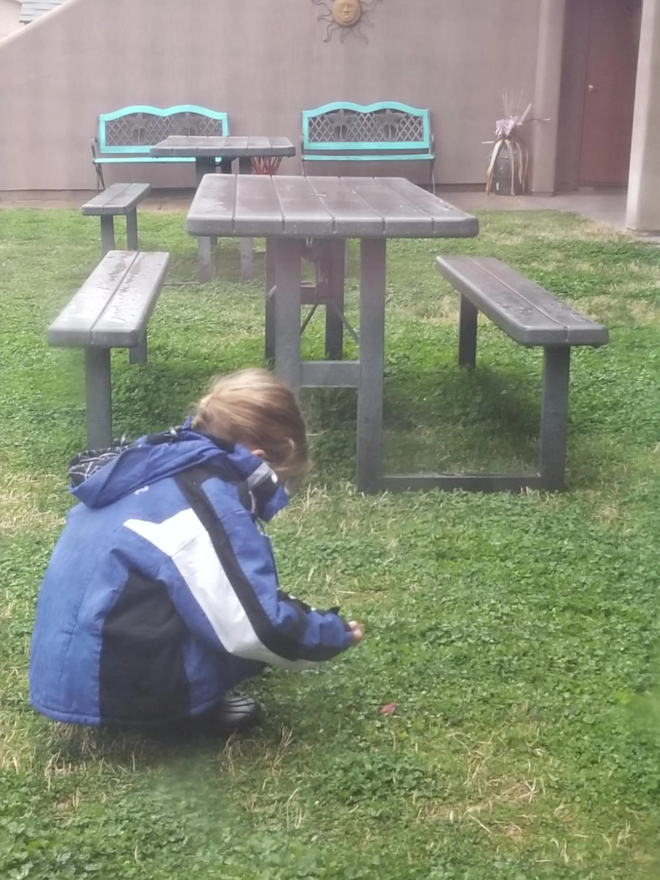 Garden in Beaver Creek Inn