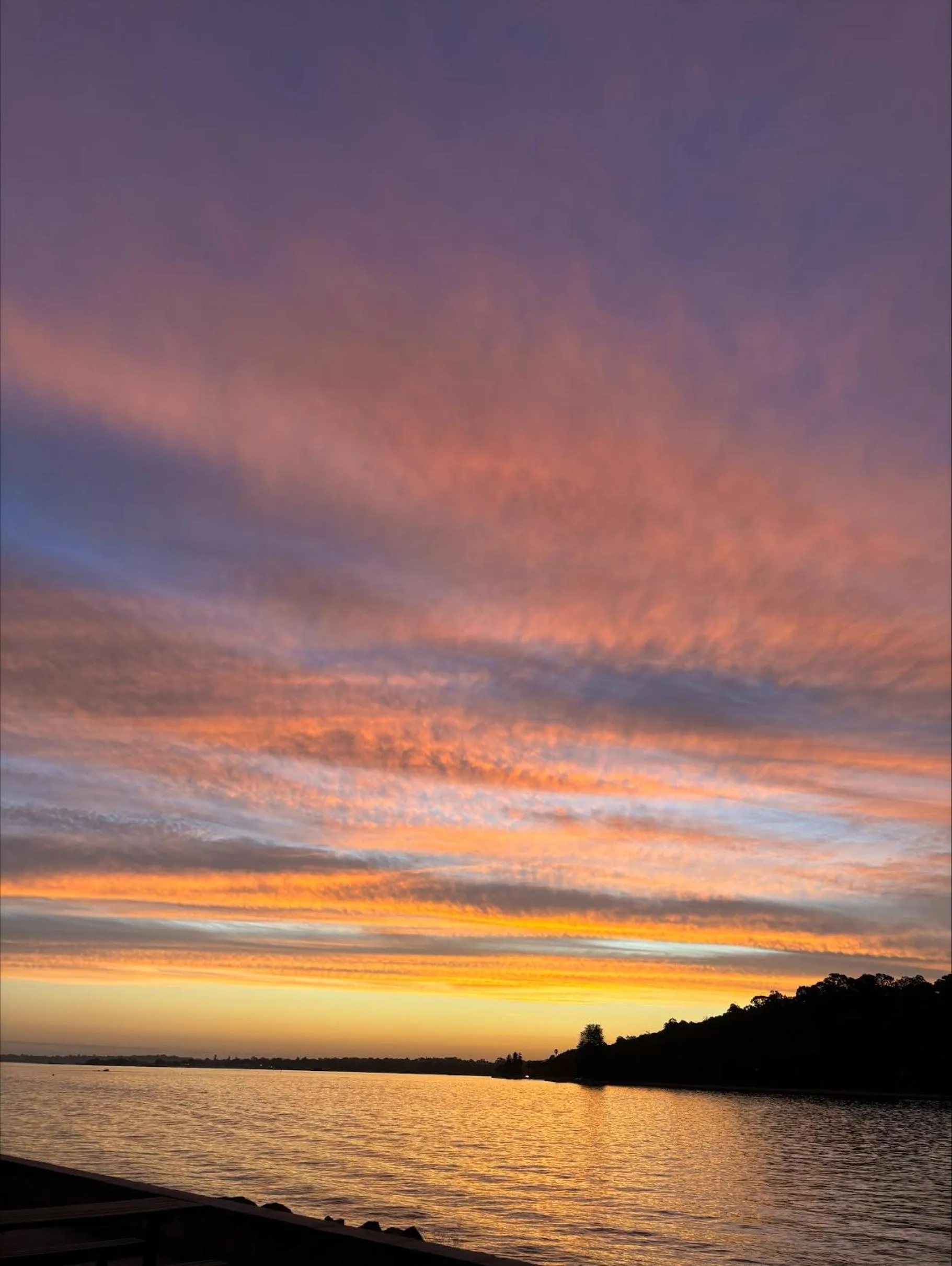 Lake view in Residence on Langley Park