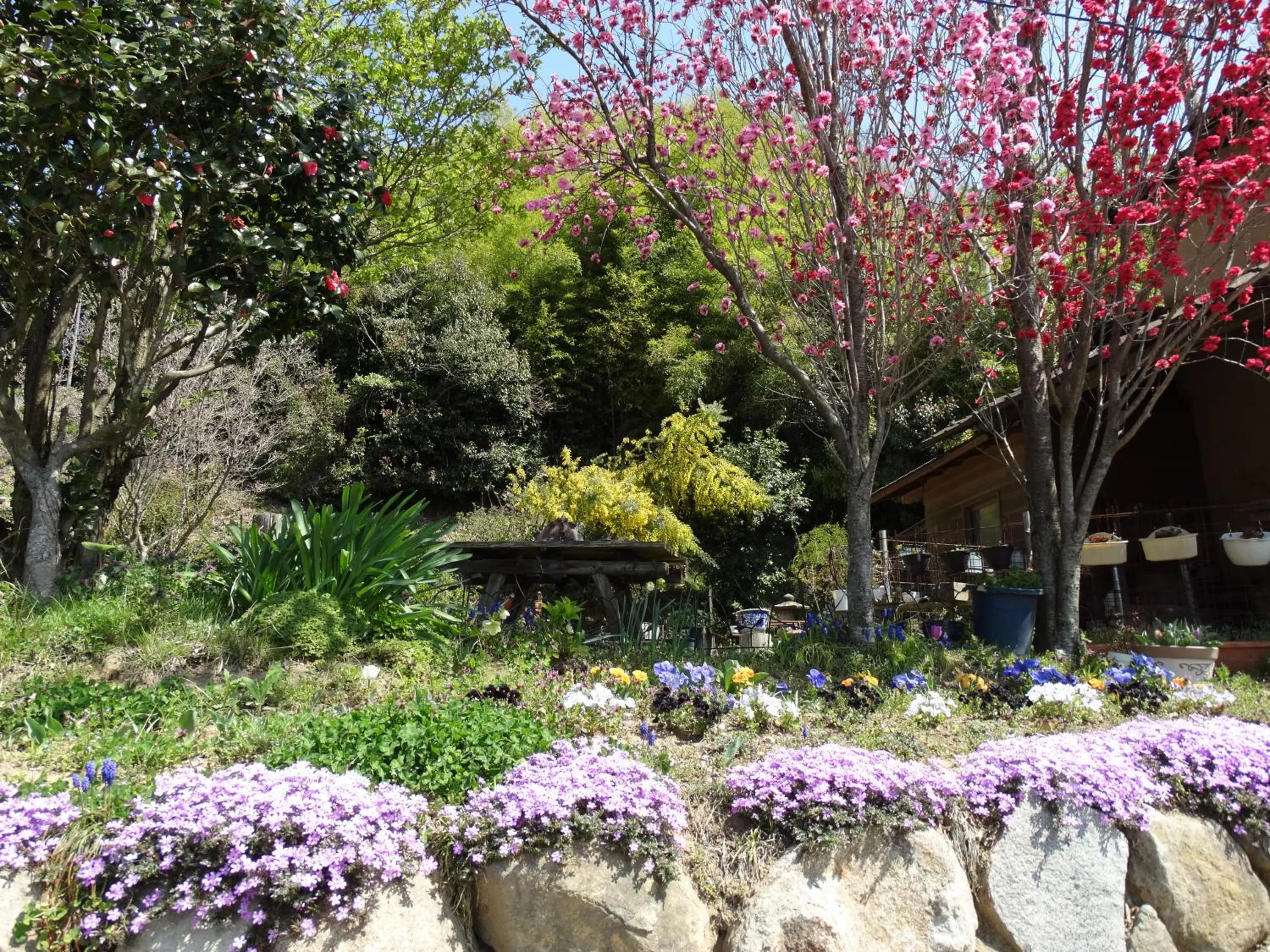 Area and facilities in Aunsanbo