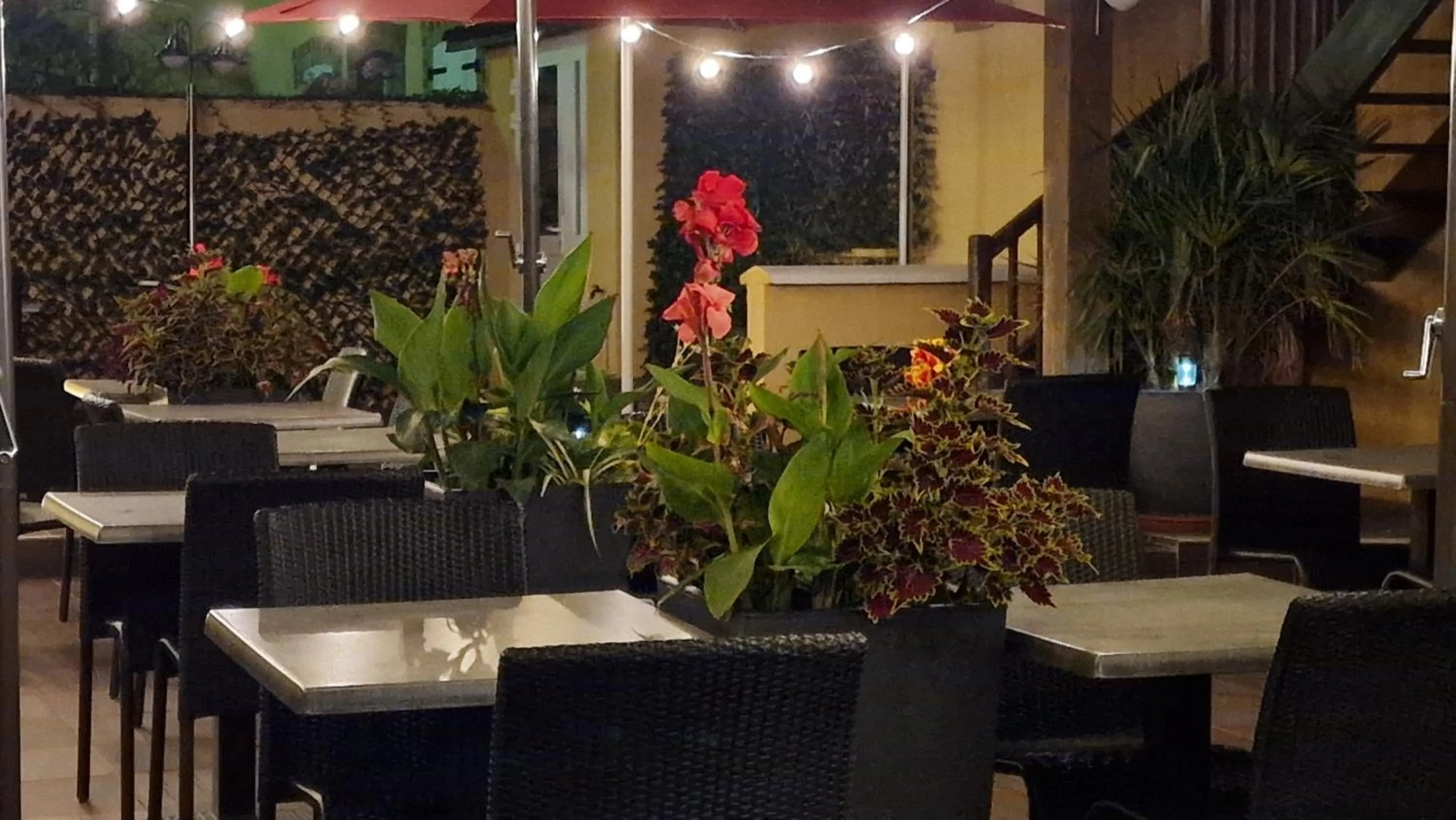 Patio in Hôtel Saint Jacques