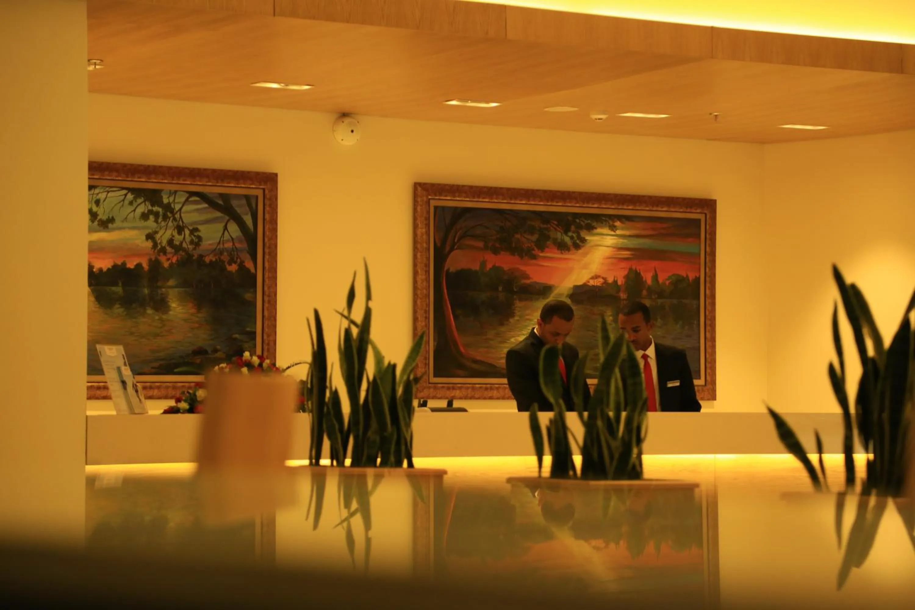 Spring in Ramada Addis, Addis Ababa