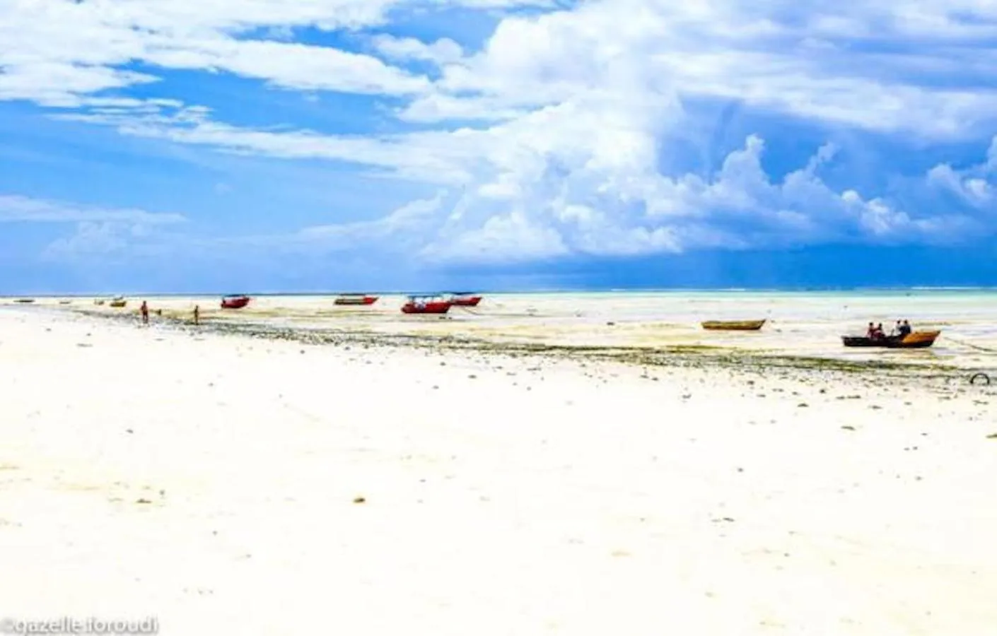 Beach in Paje Beach Apartments & Hotel