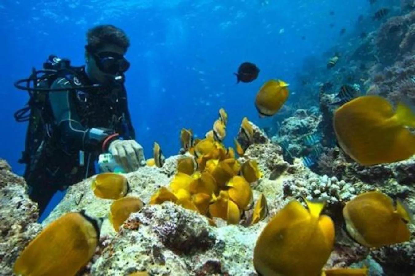 Off site in Paje Beach Apartments & Hotel